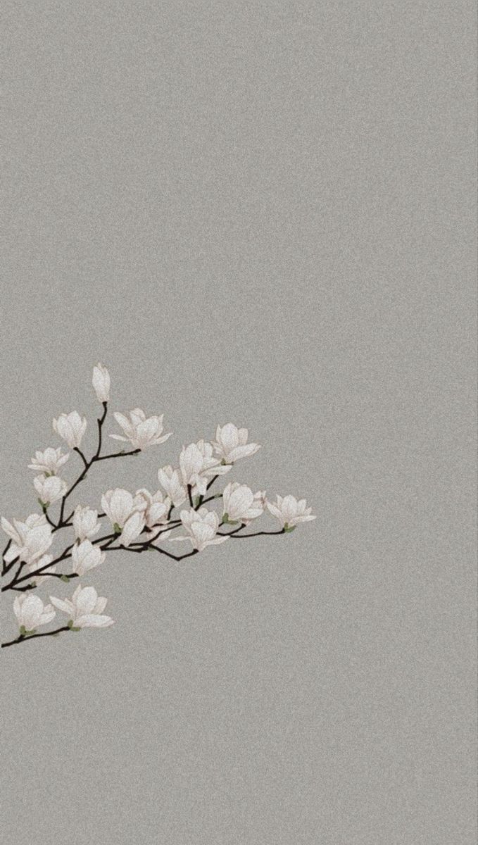 Floral Wallpaper