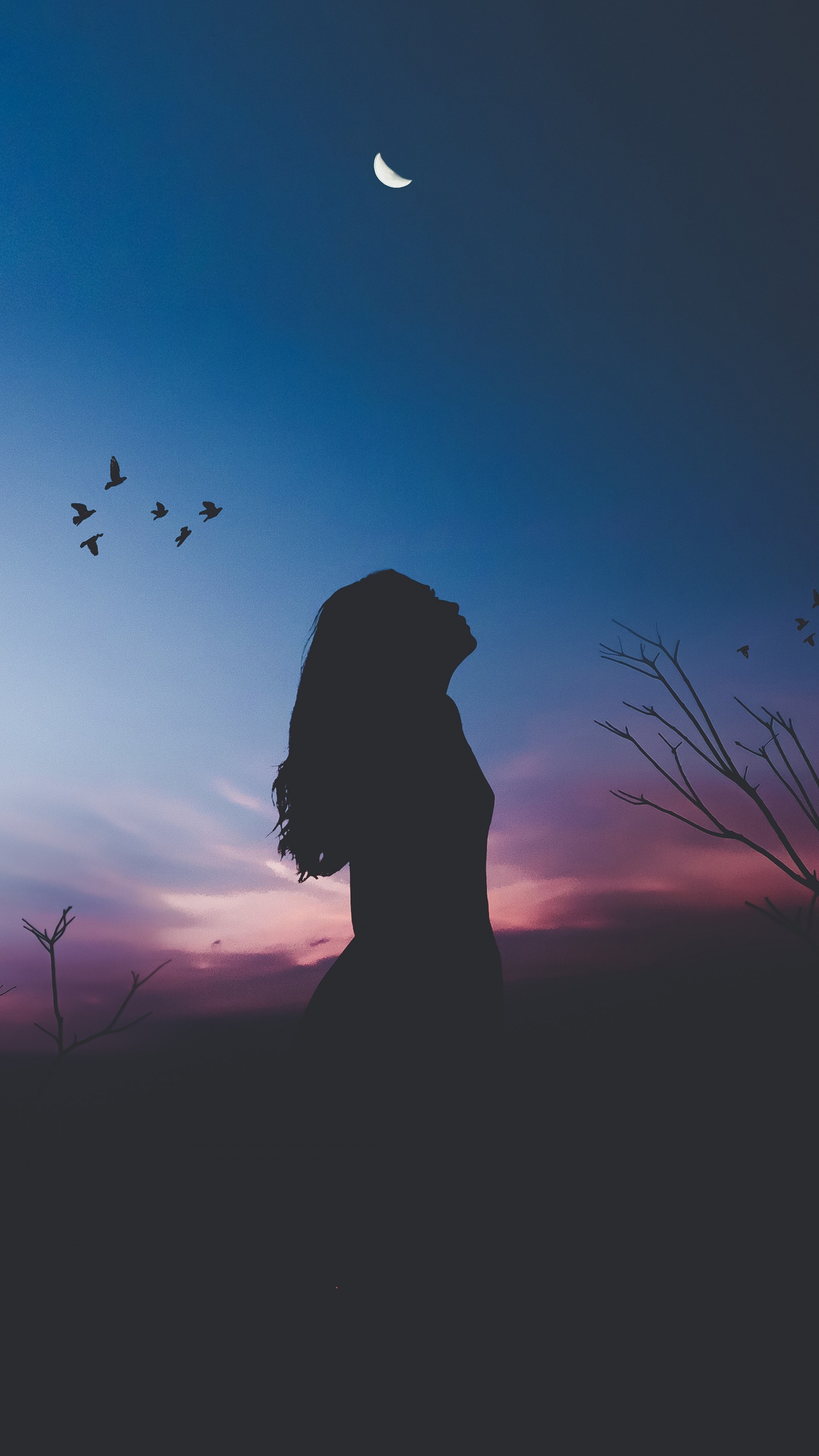 Girl Wallpaper 4K, Twilight, Silhouette