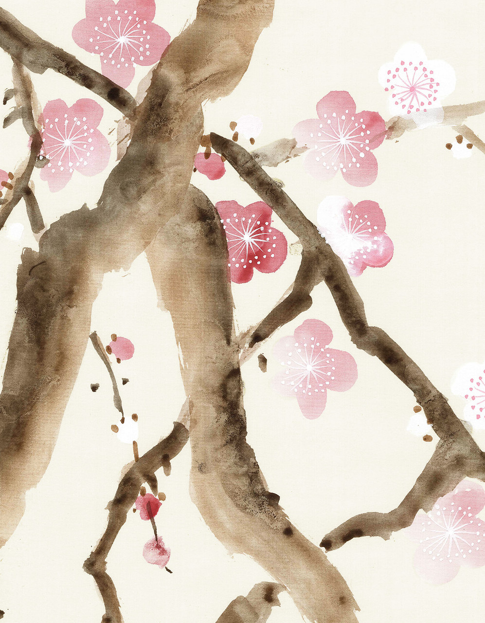 Cherry Blossoms White