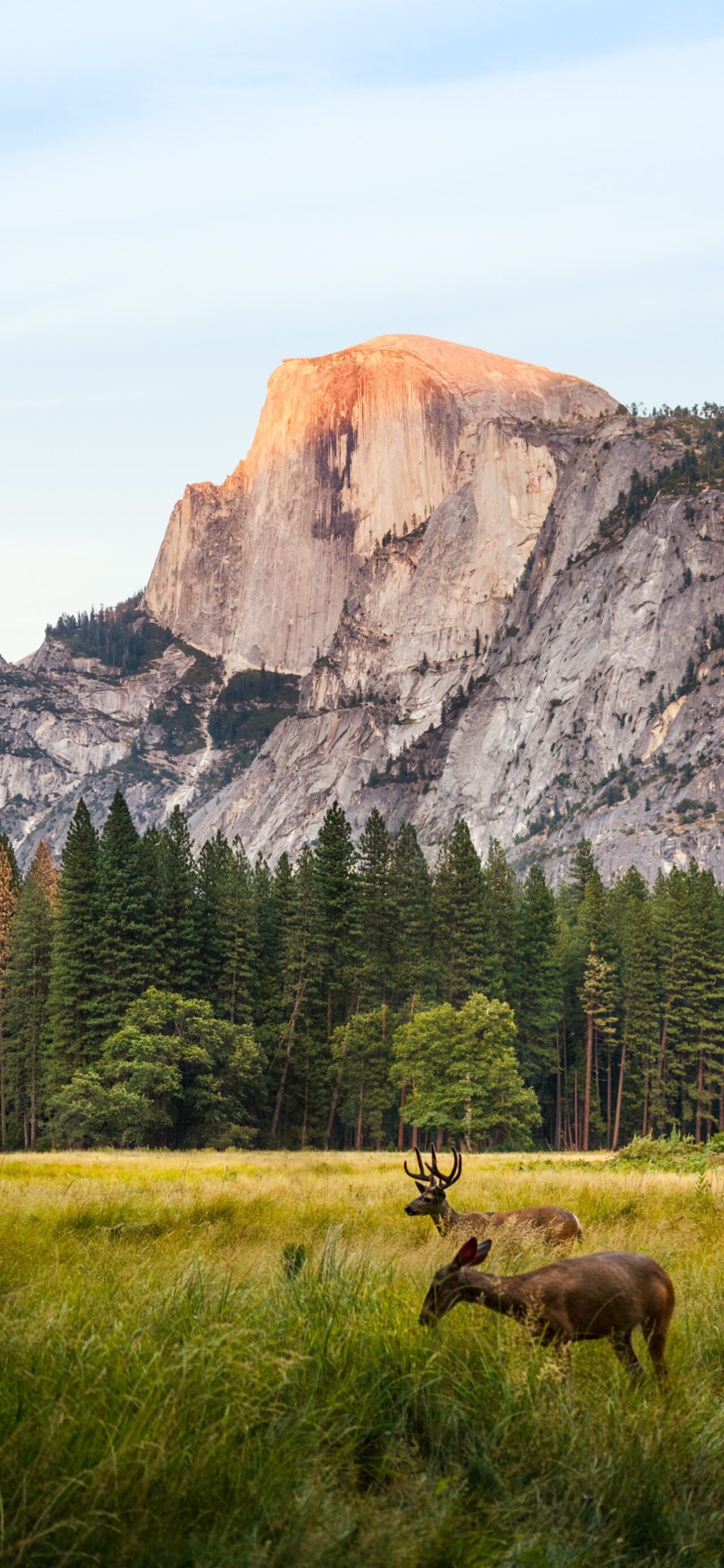Yosemite Park (California). Depth