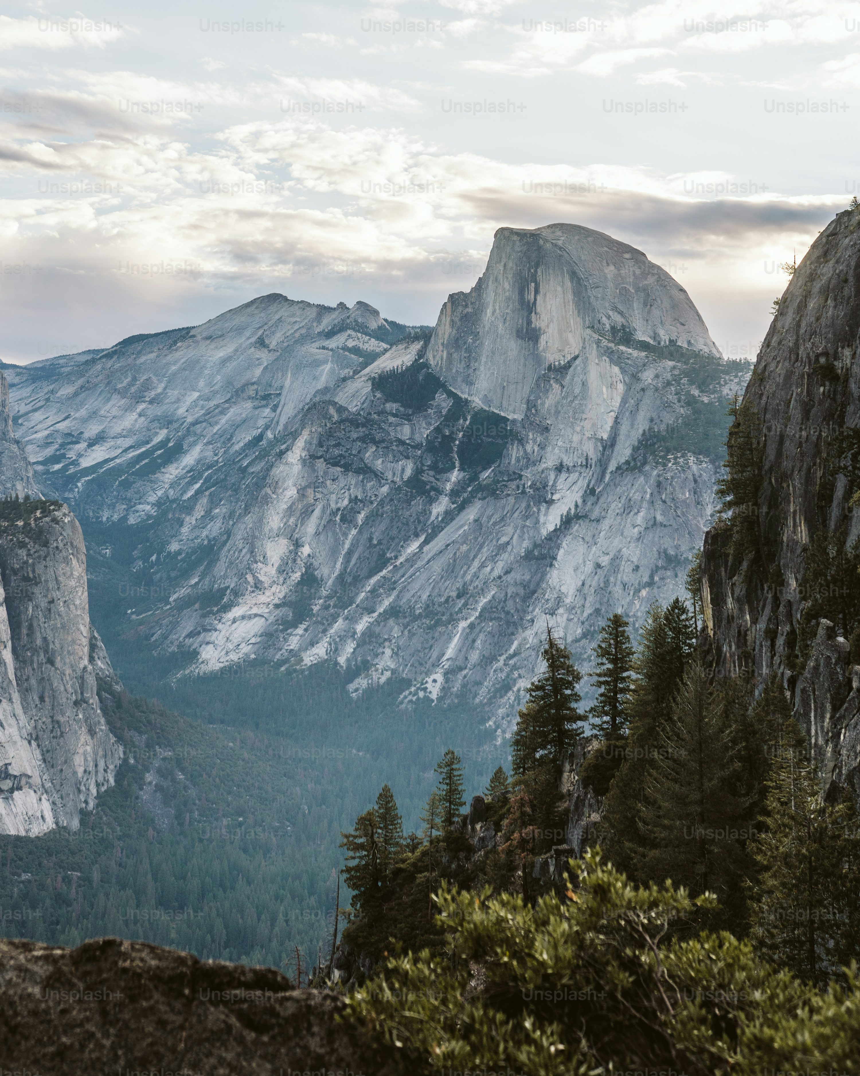 45,Yosemite Half Dome Picture