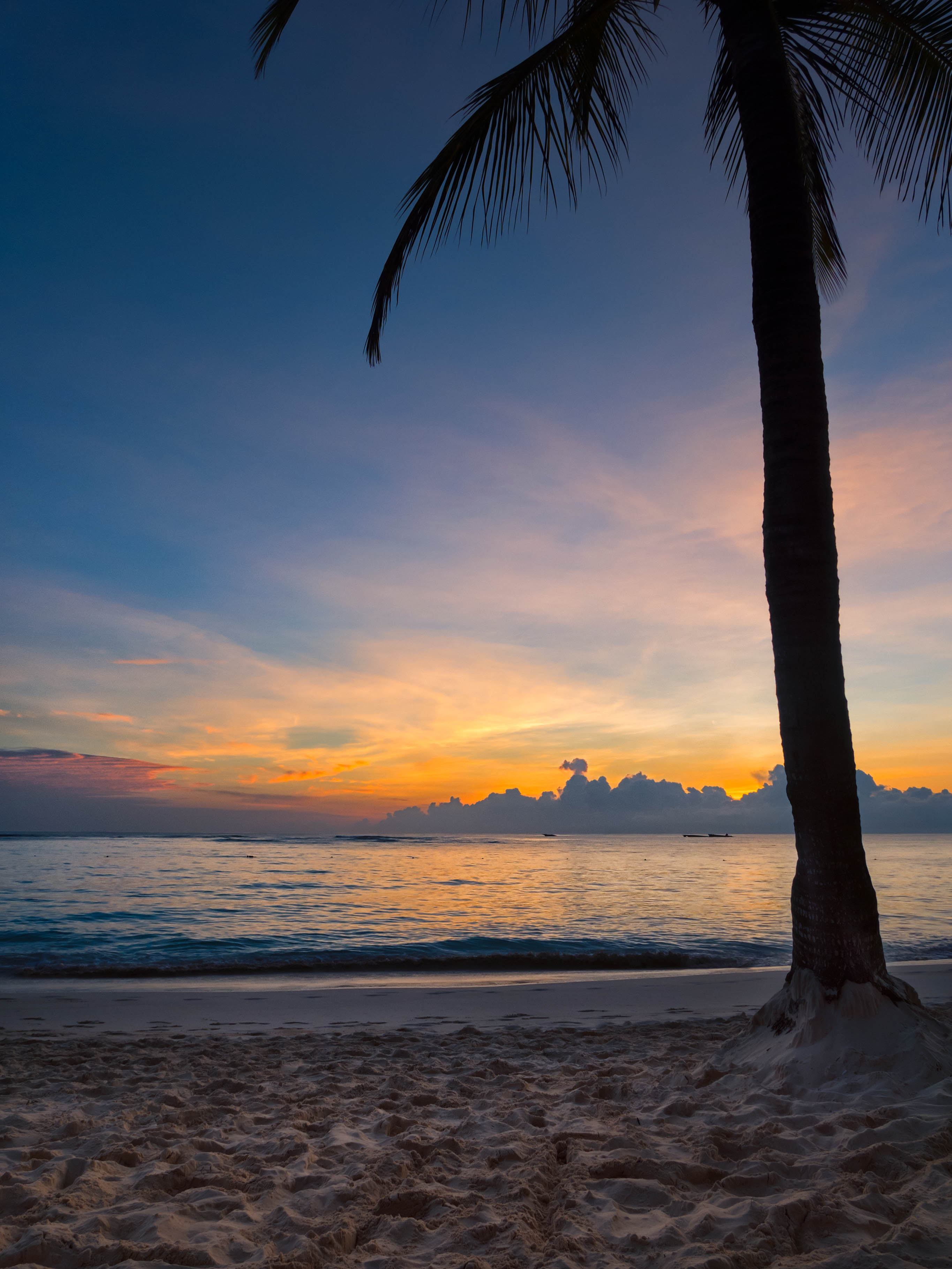 Download Tropical Beach Sunset Royalty