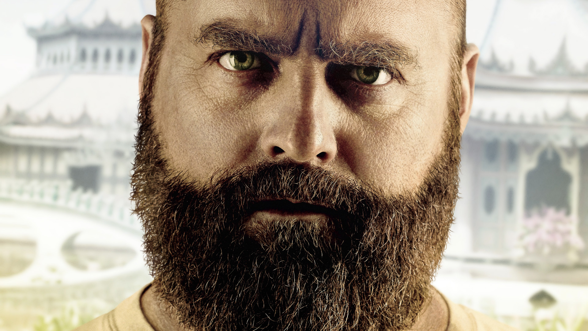 Download Zach Galifianakis Movie