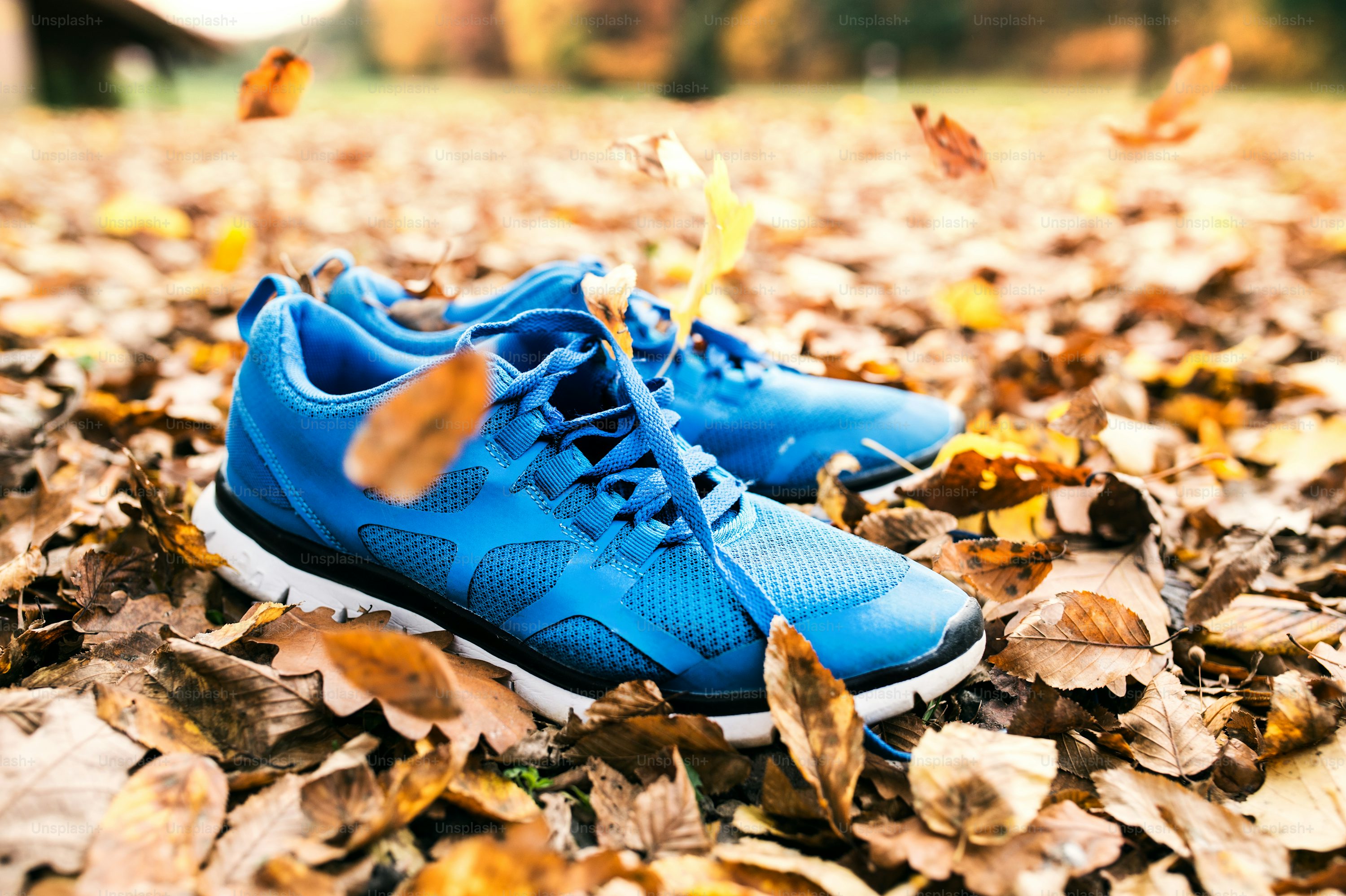Running Shoes Picture [HQ]. Download