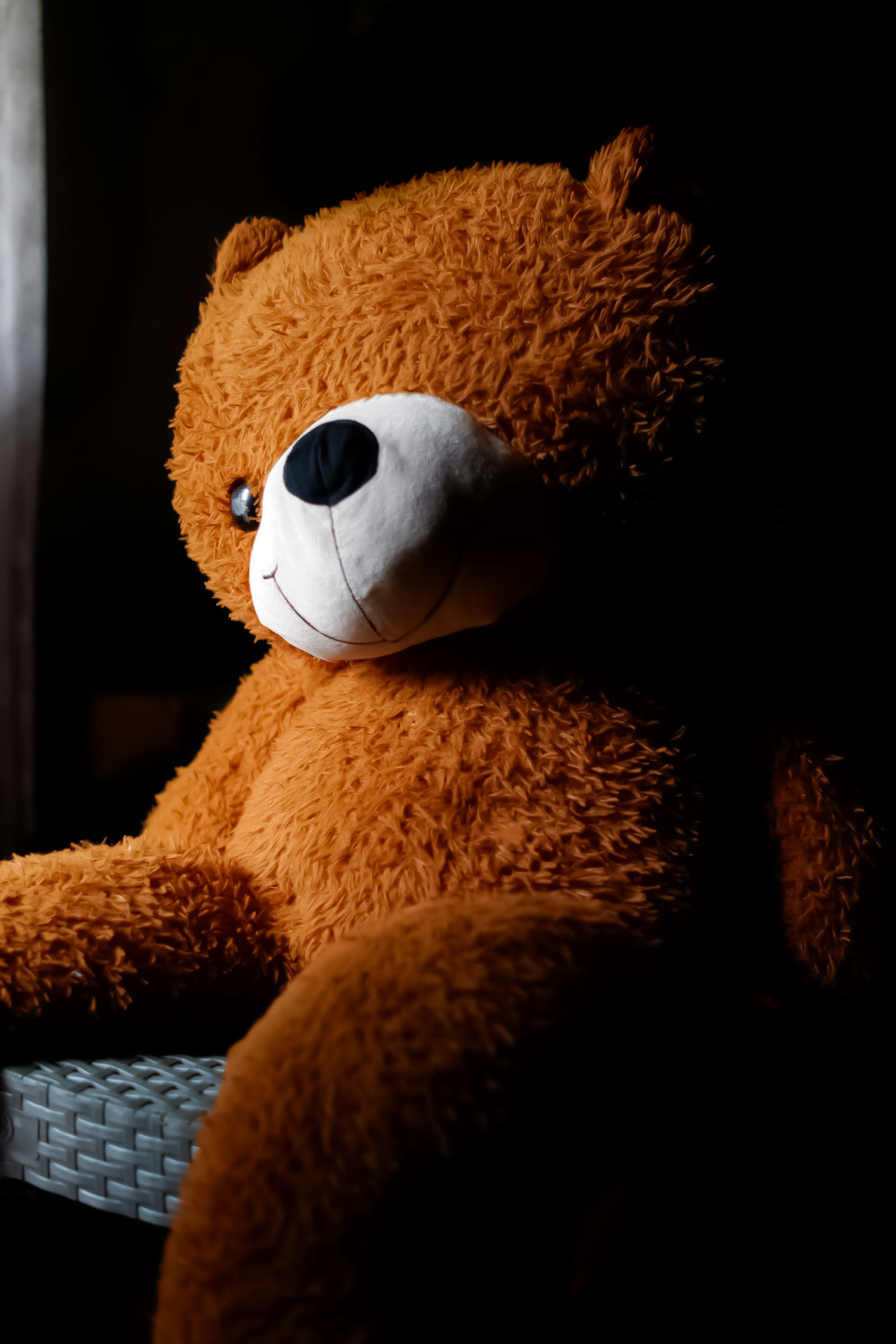 Best Teddy Bear Picture HD