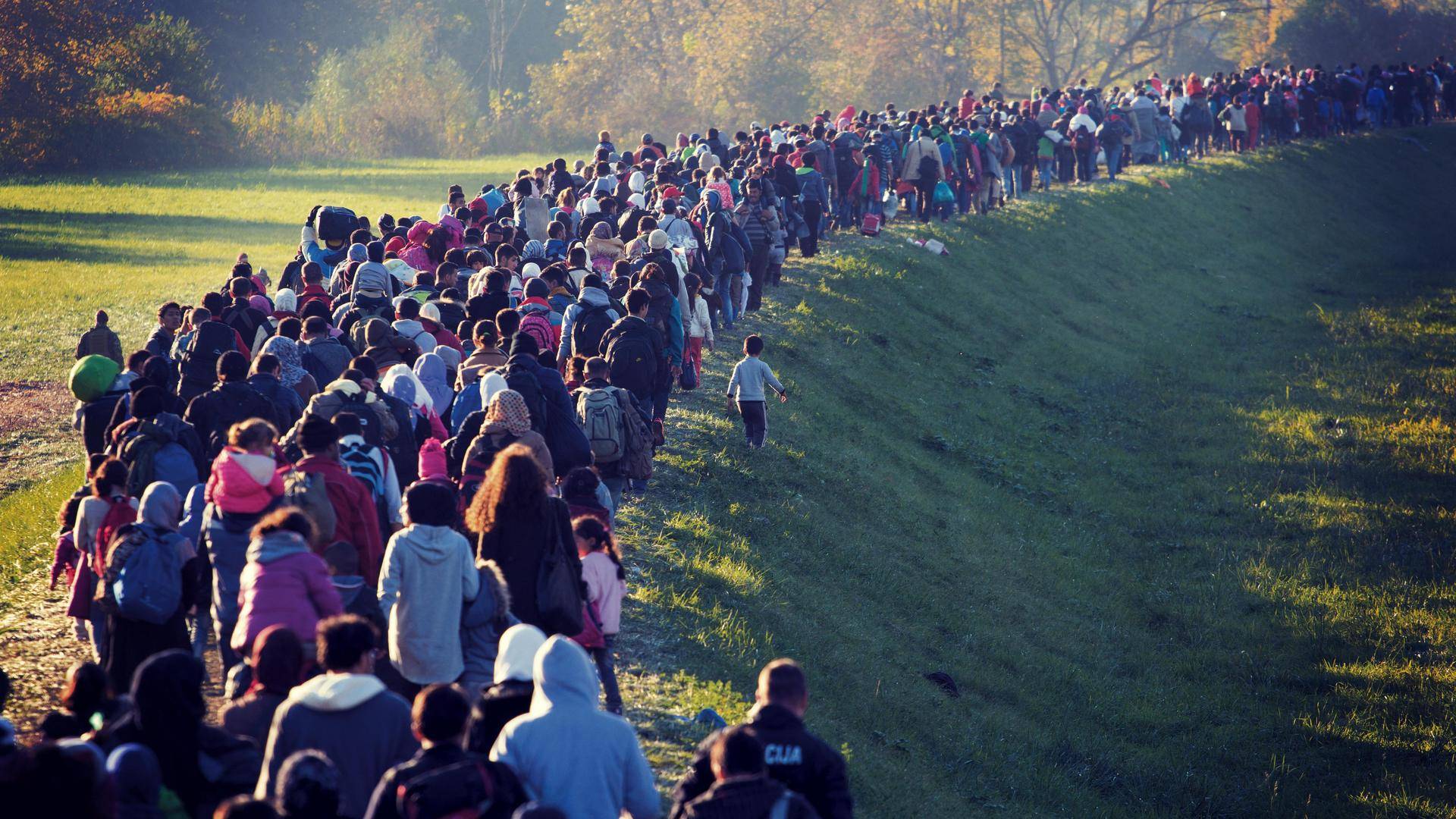 The Asymmetry Of Migration Fund