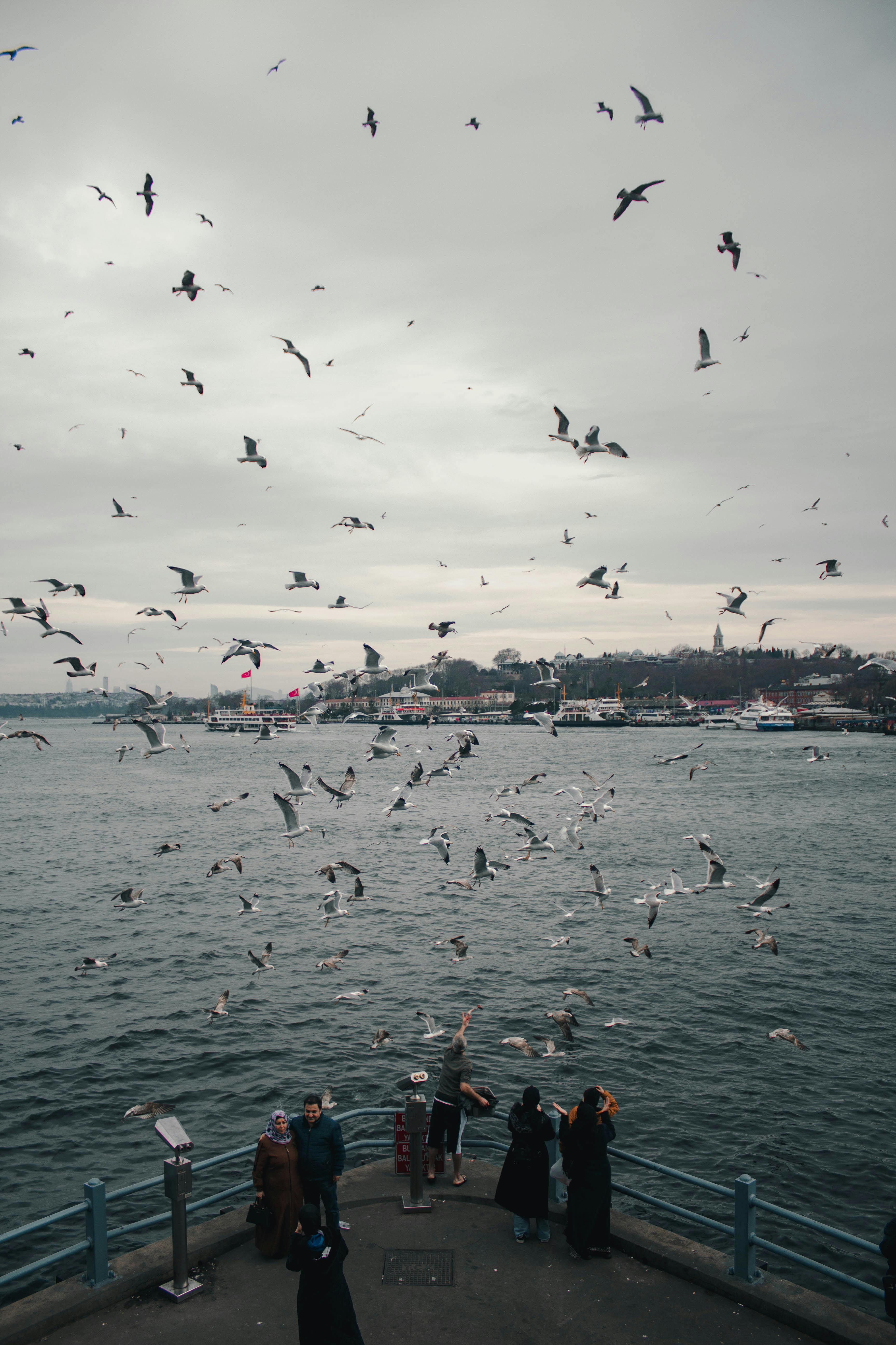 Flock of Birds over People on Promenade