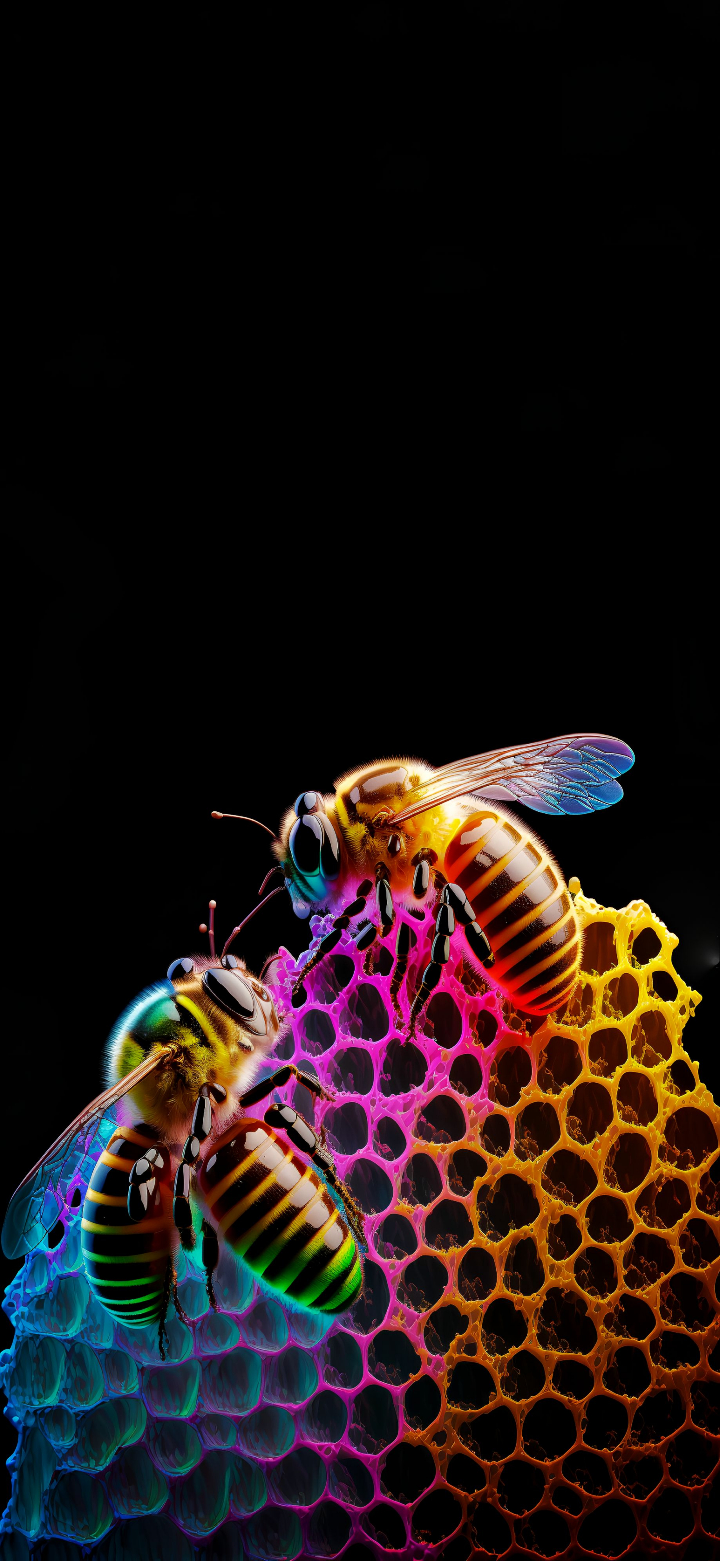 Honey Bee Wallpaper Free