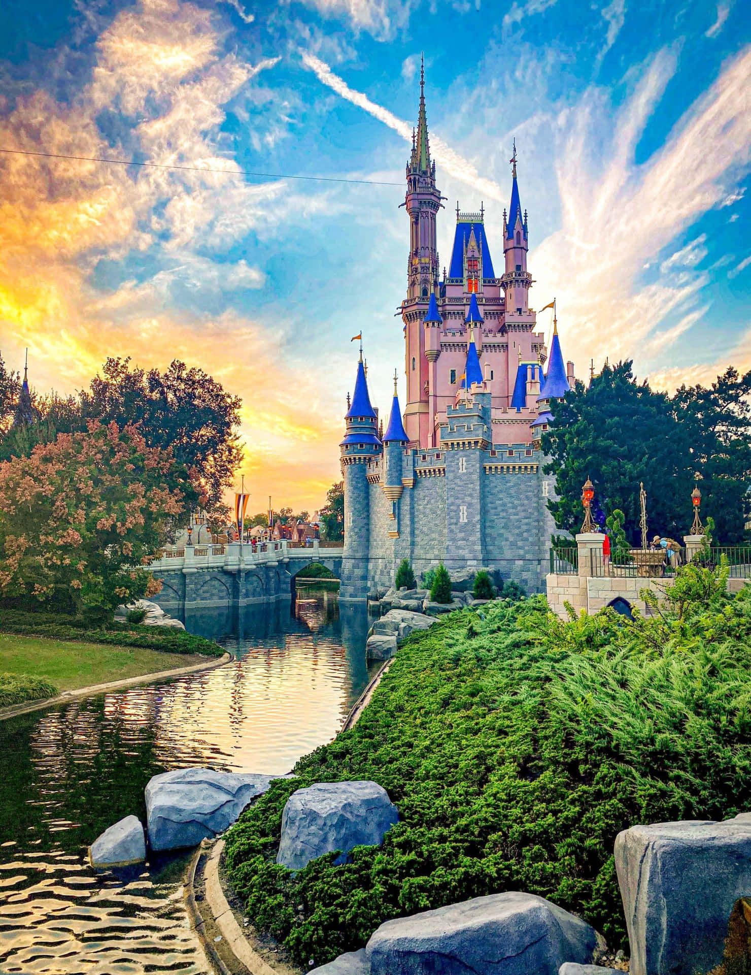 Download Disney World Magic Kingdom