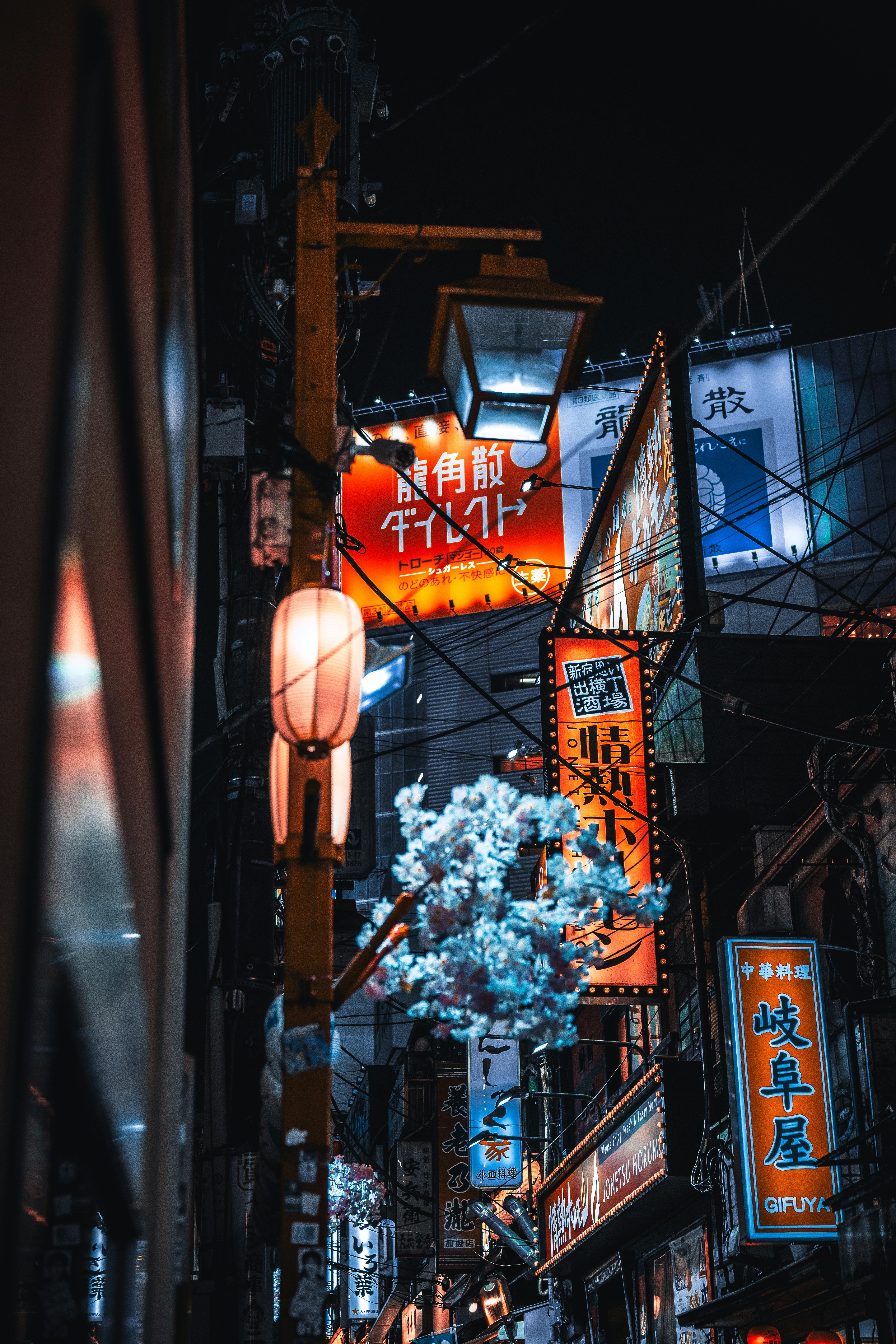 Nightlife Japan Photo, Download