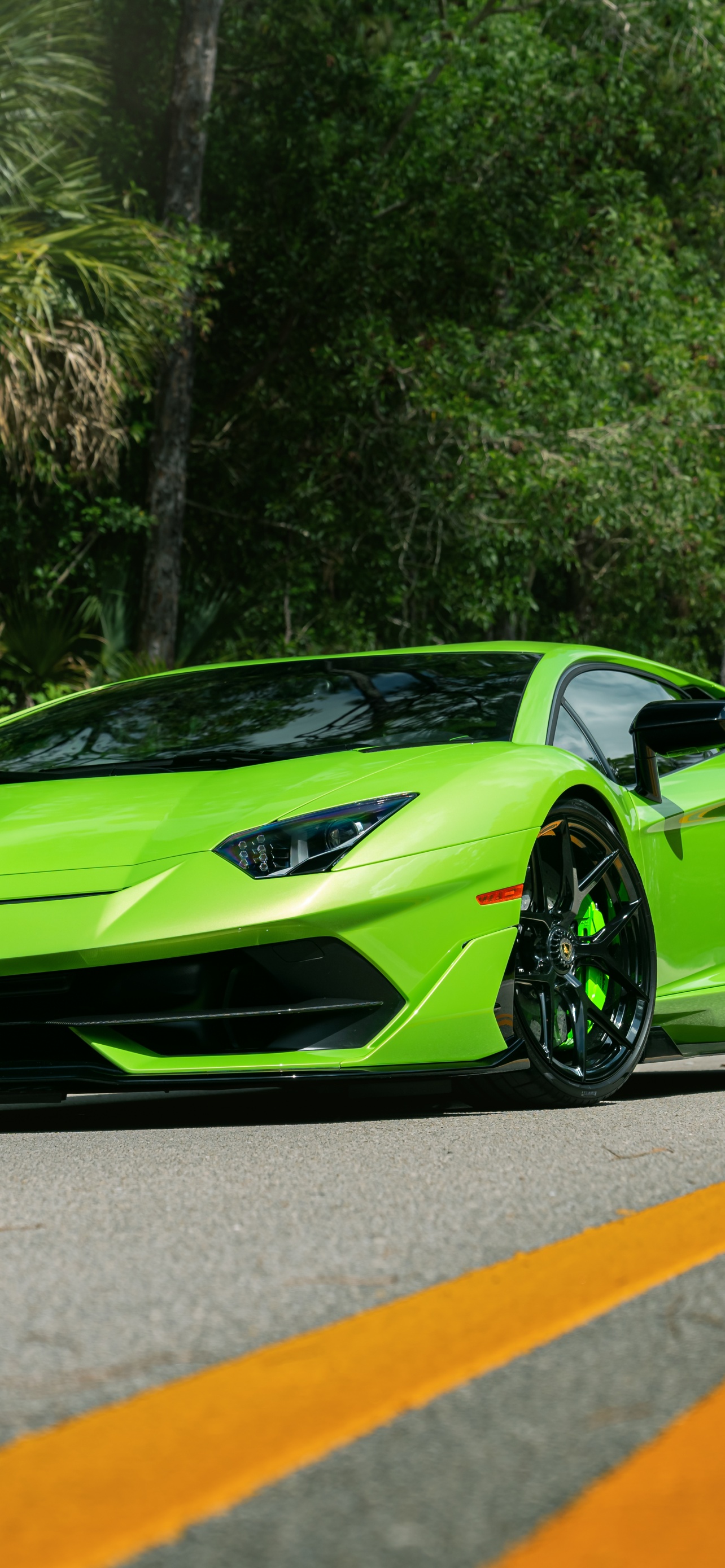 Lamborghini Aventador SVJ Wallpaper 4K