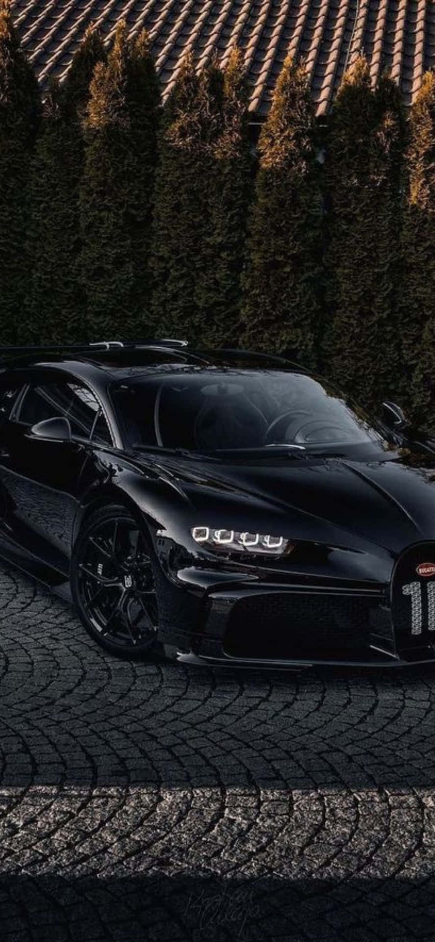 Download Bugatti Veyron Showcased