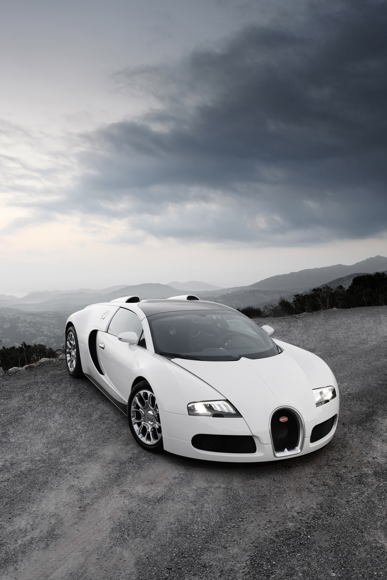 Bugatti Veyron 16.4 Grand Sport 2009