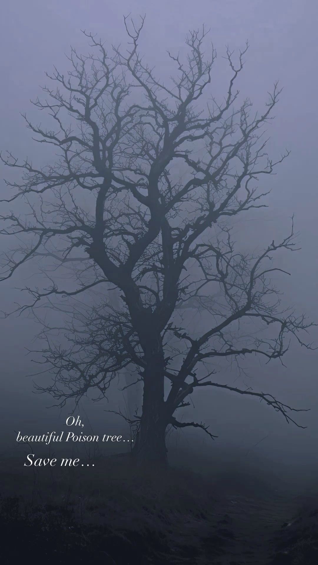 Poison tree wallpaper