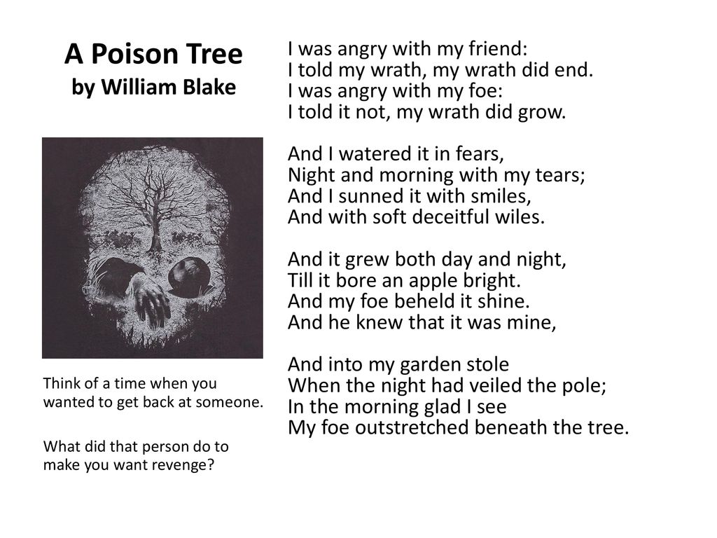 A Poison Tree