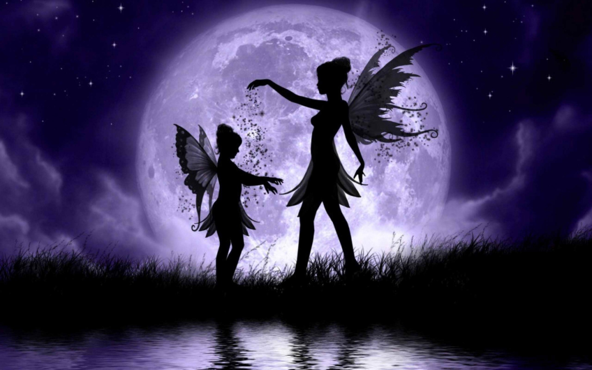 Enchanted Fairy Moonlight