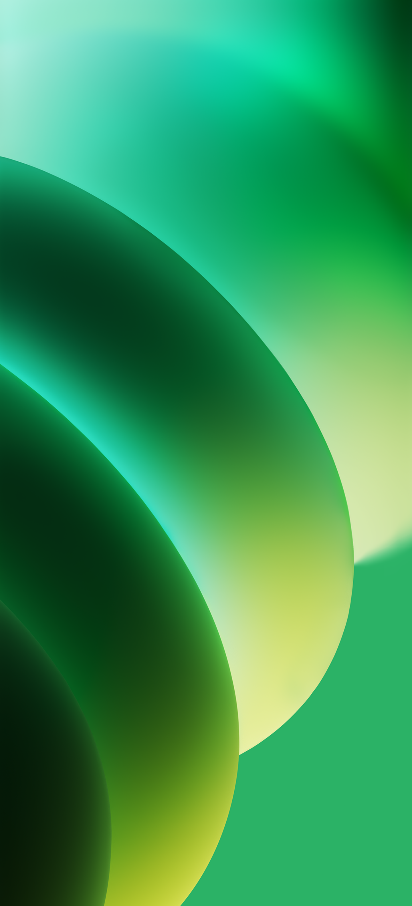 ColorOS 15 wallpaper