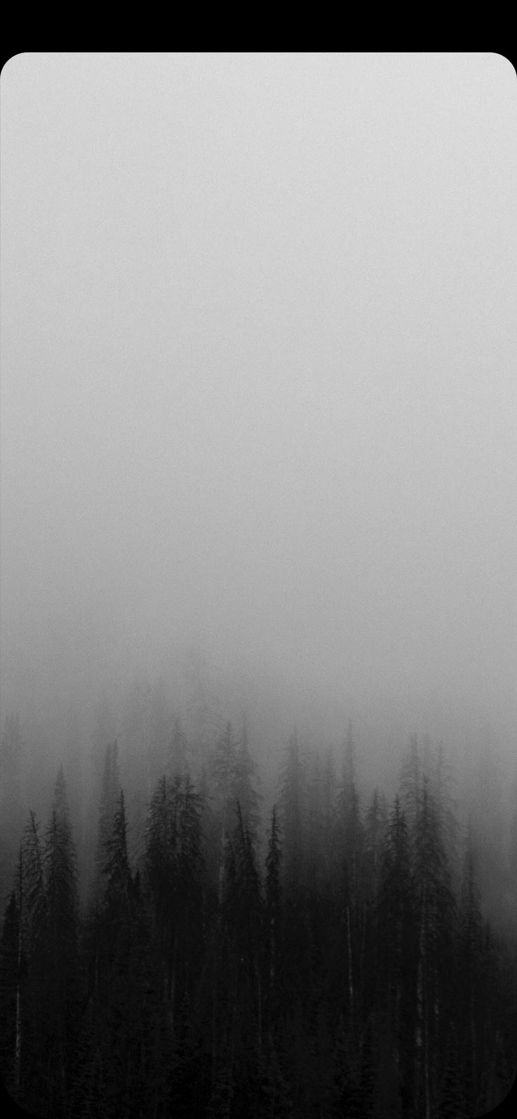 Half Red Half Black Wallpaper Elegant