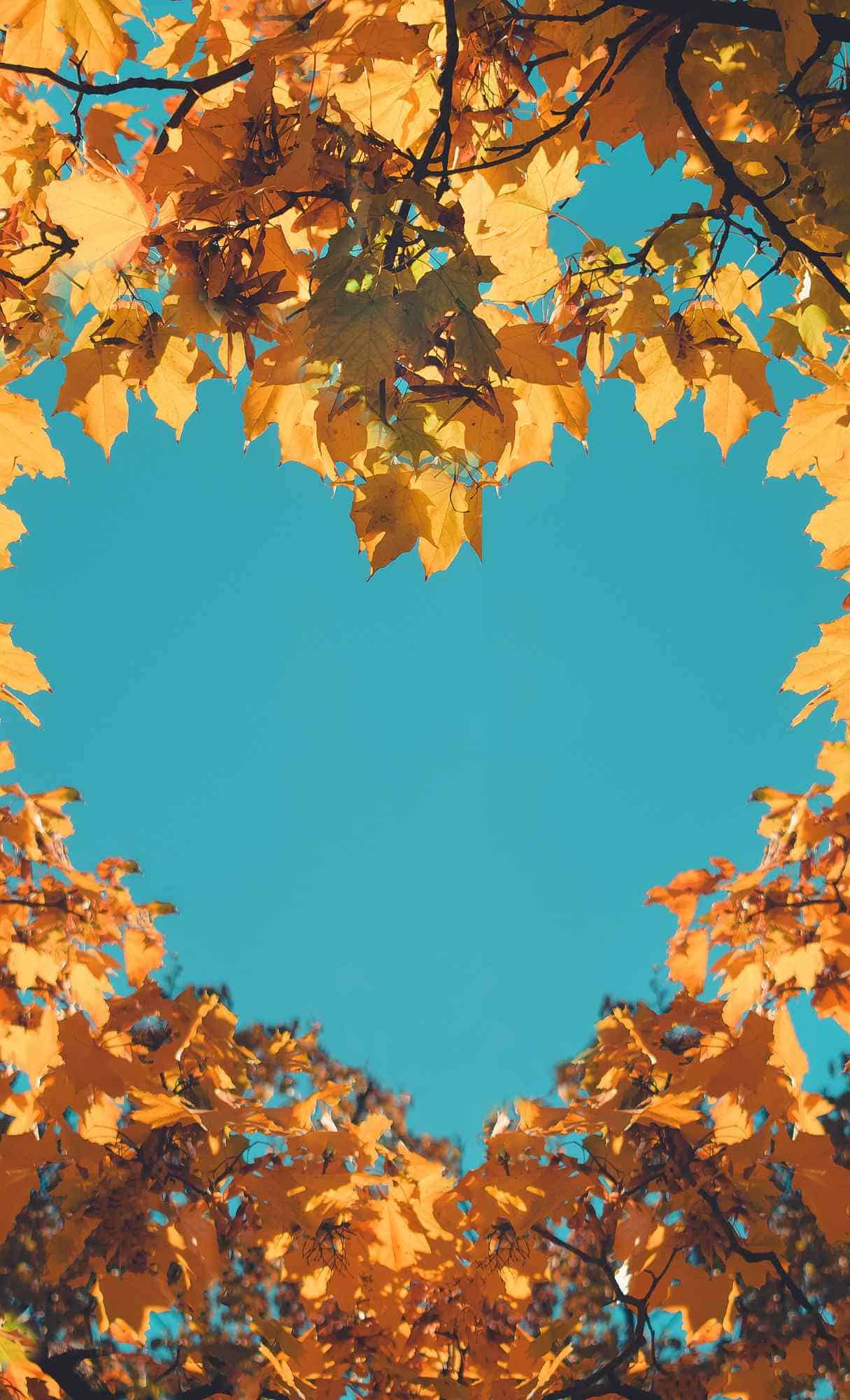 Fall Wallpaper for iPhone