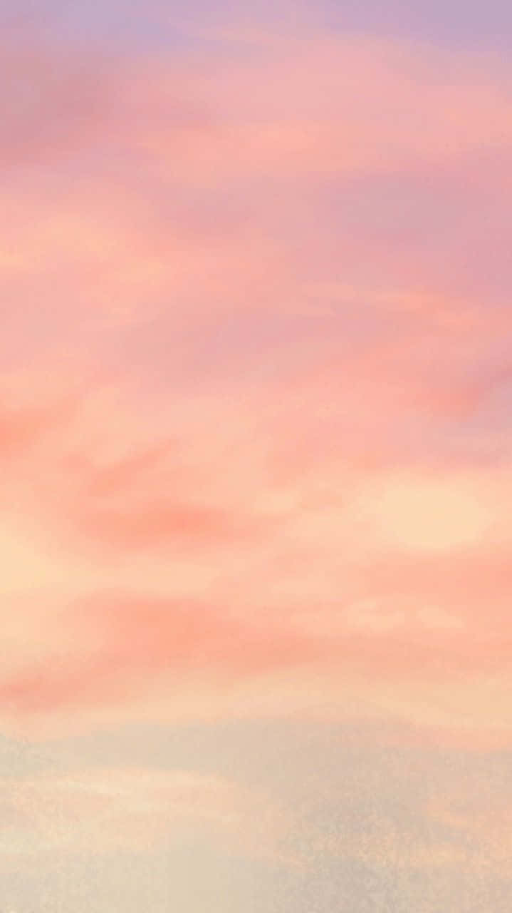 Peach iPhone Wallpaper