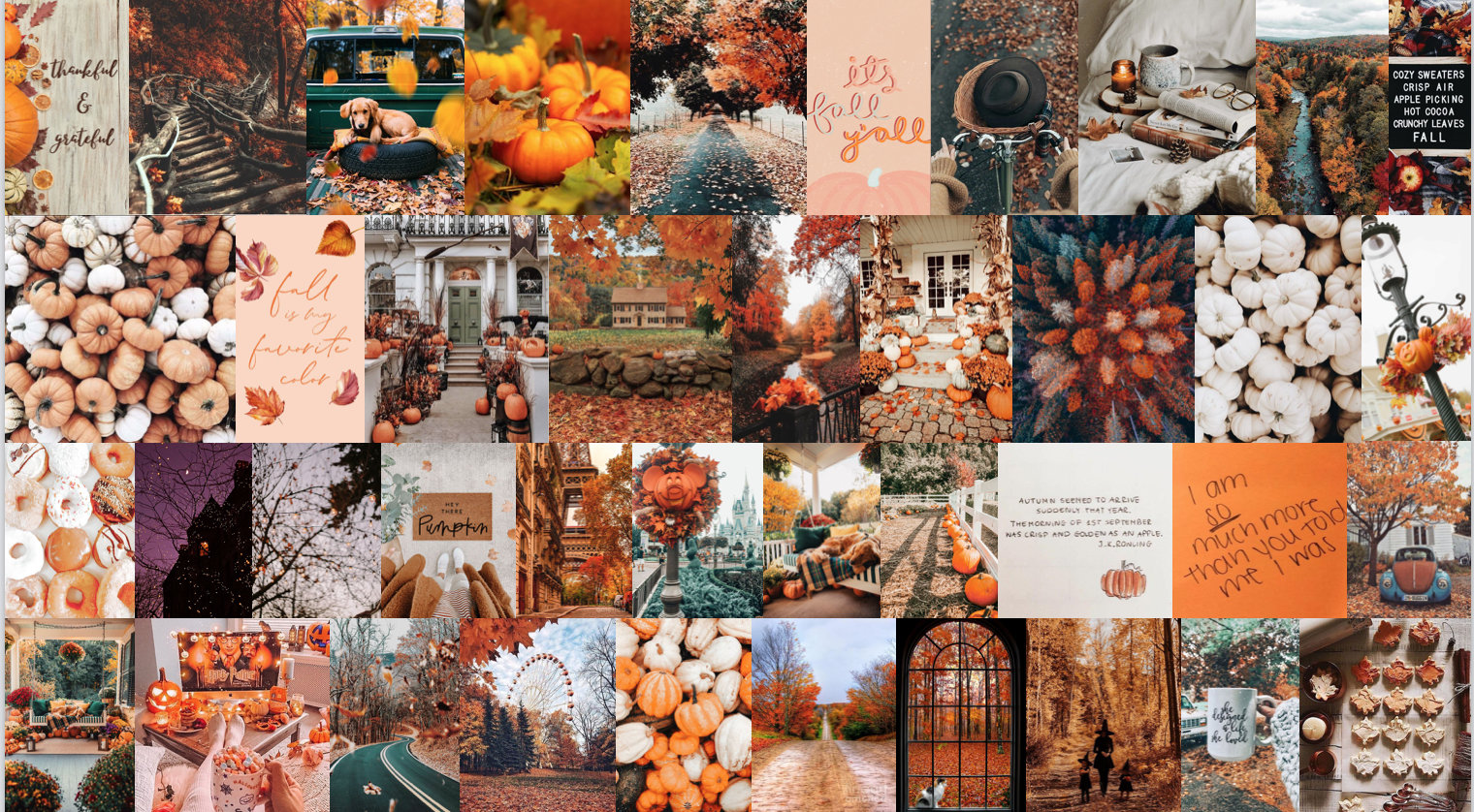Autumn Aesthetic Photo Collage Kit 40