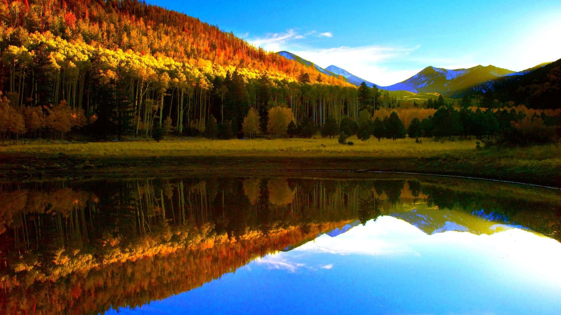 Fall Lake Wallpaper