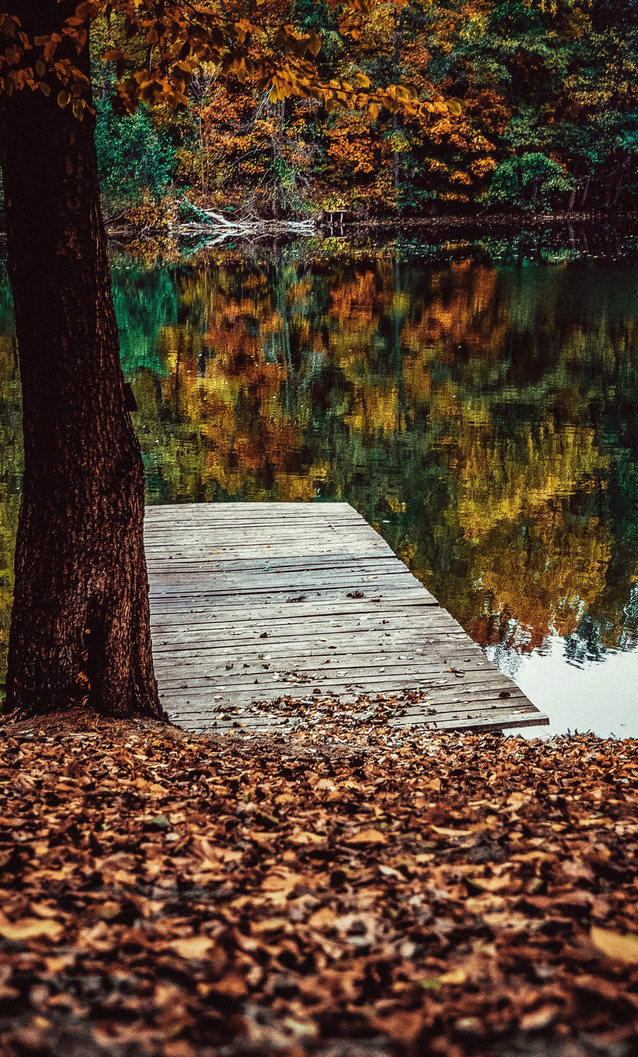 Download wallpaper 1280x2120 pier, lake