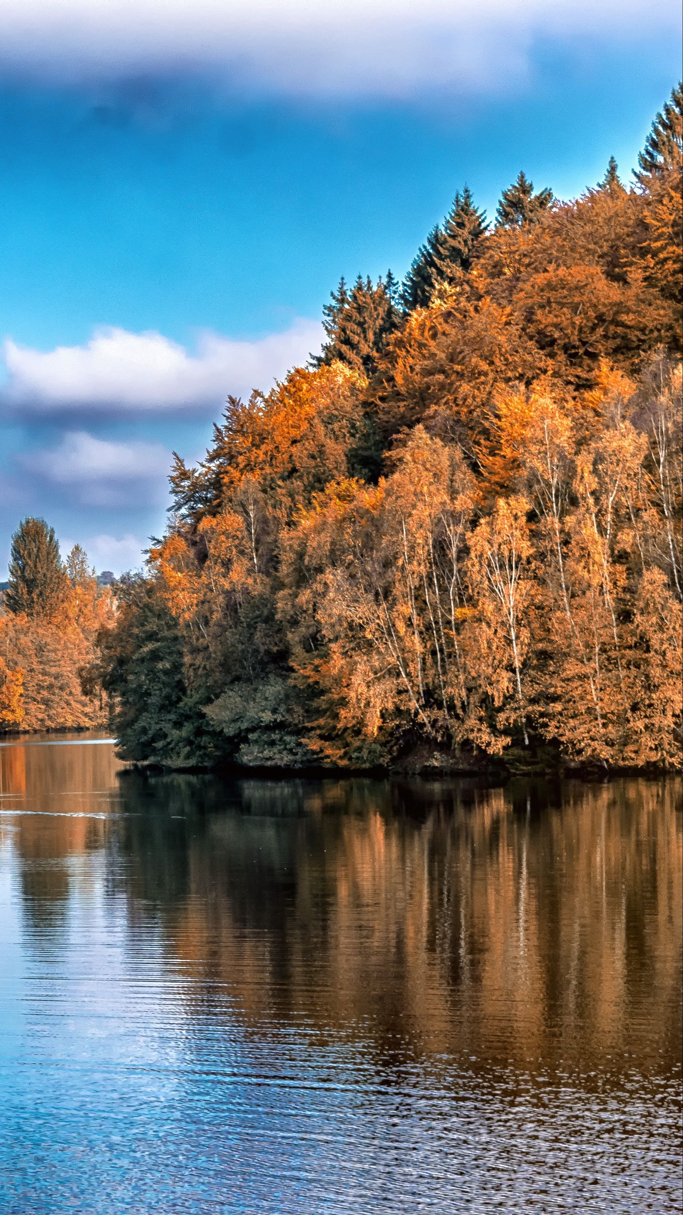 Download wallpaper 1350x2400 autumn