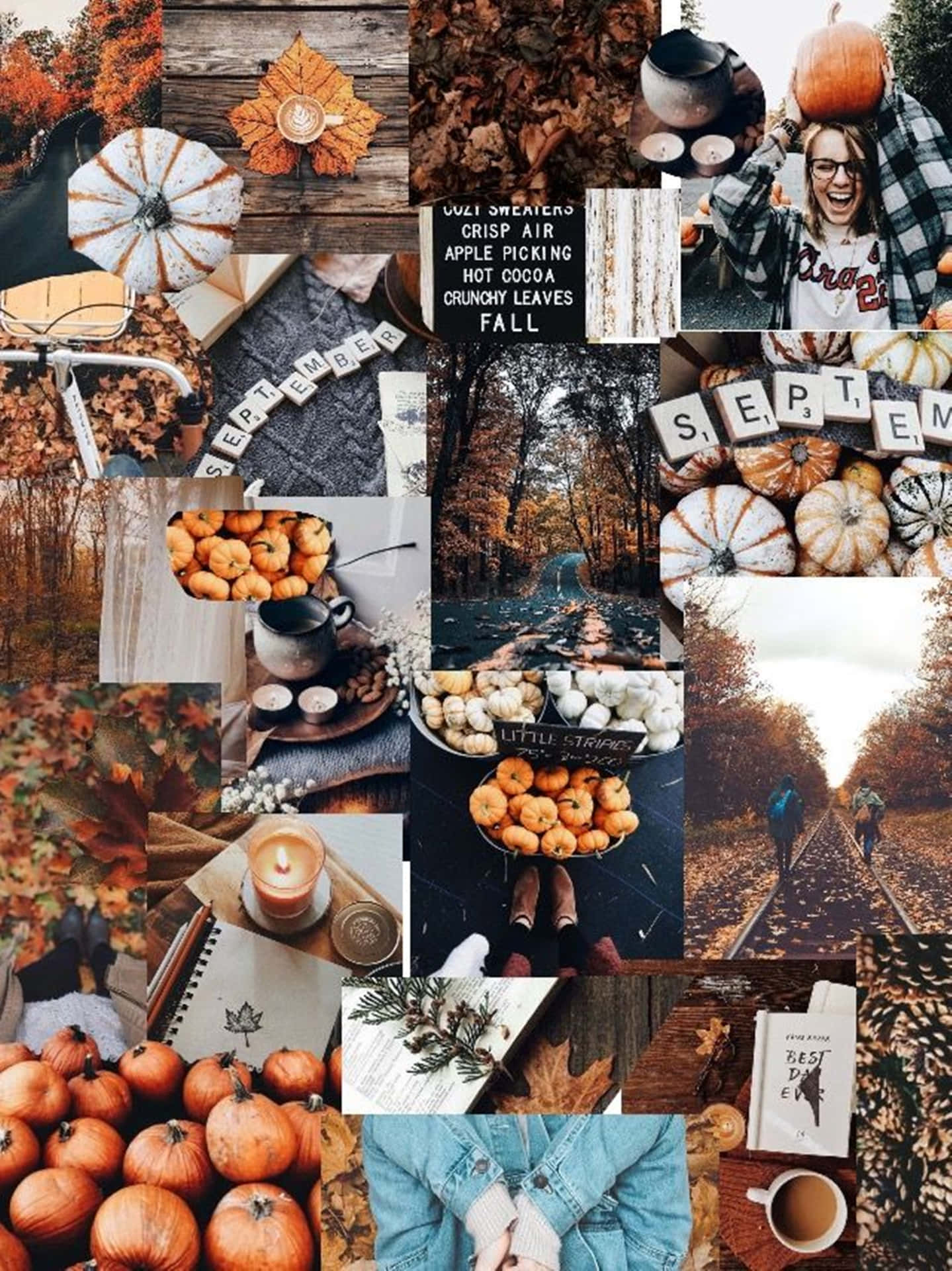 Download Take in the beauty of autumn with these four magical fall scenes! Wallpaper
