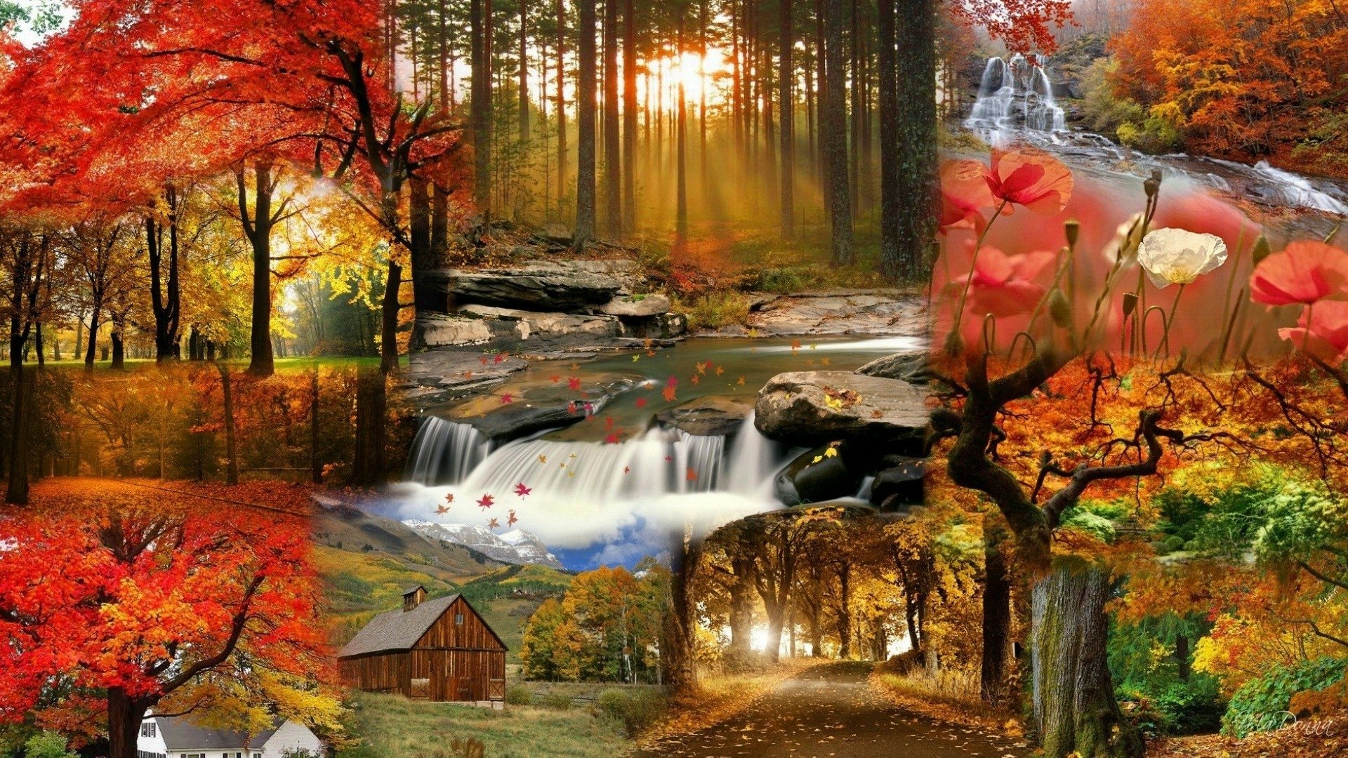 Collage Photography Fall HD Wallpaper