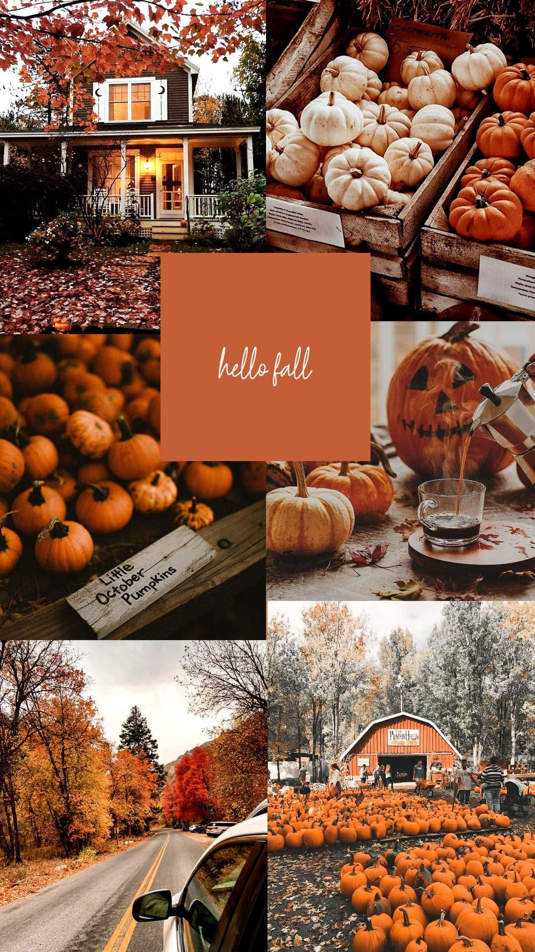 Download Cute Autumn Season Collage Wallpaper