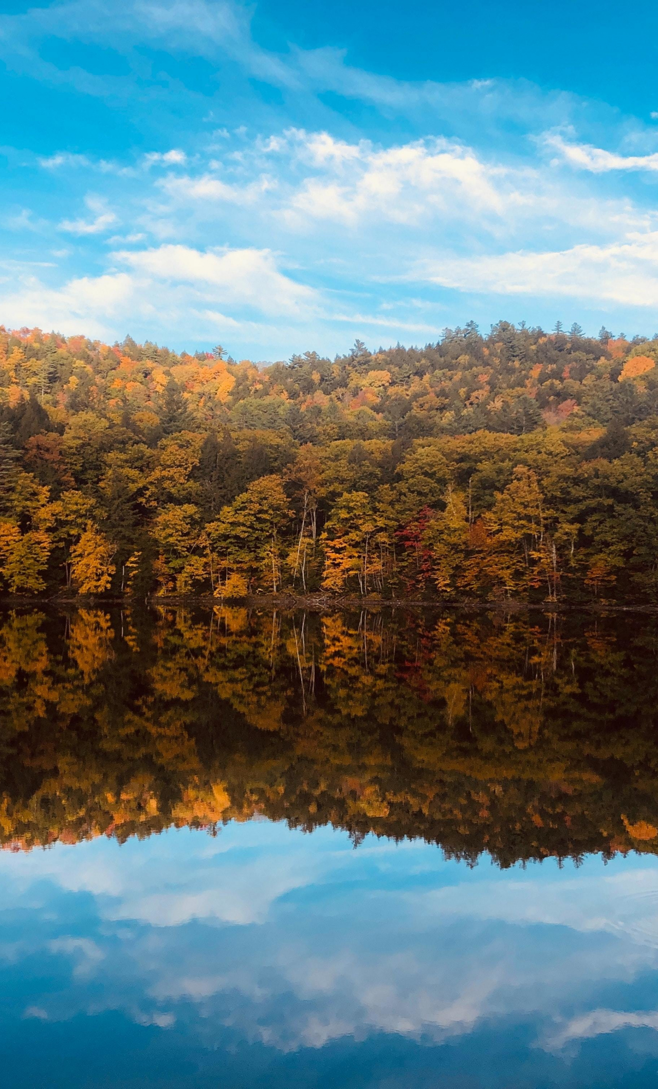 Download wallpaper 1280x2120 fall
