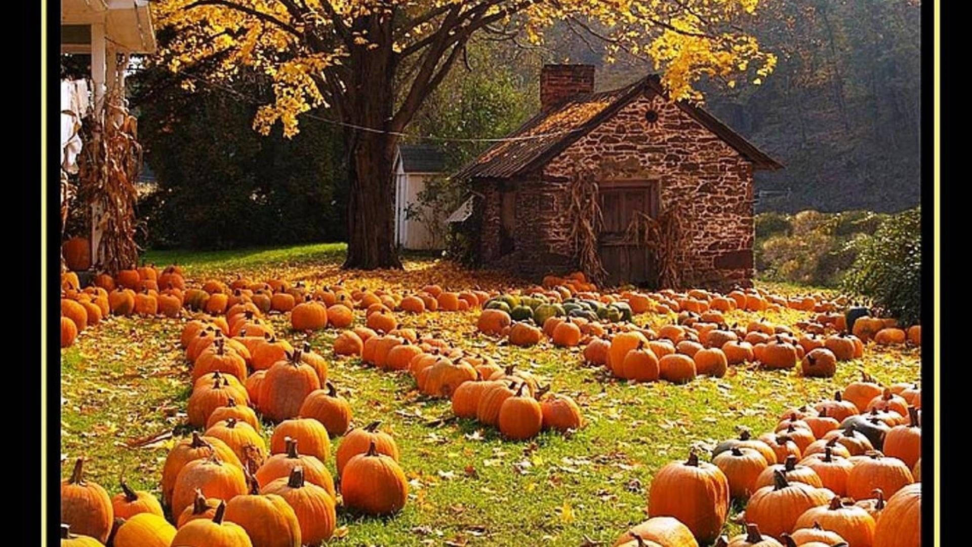 Fall Farm Wallpaper