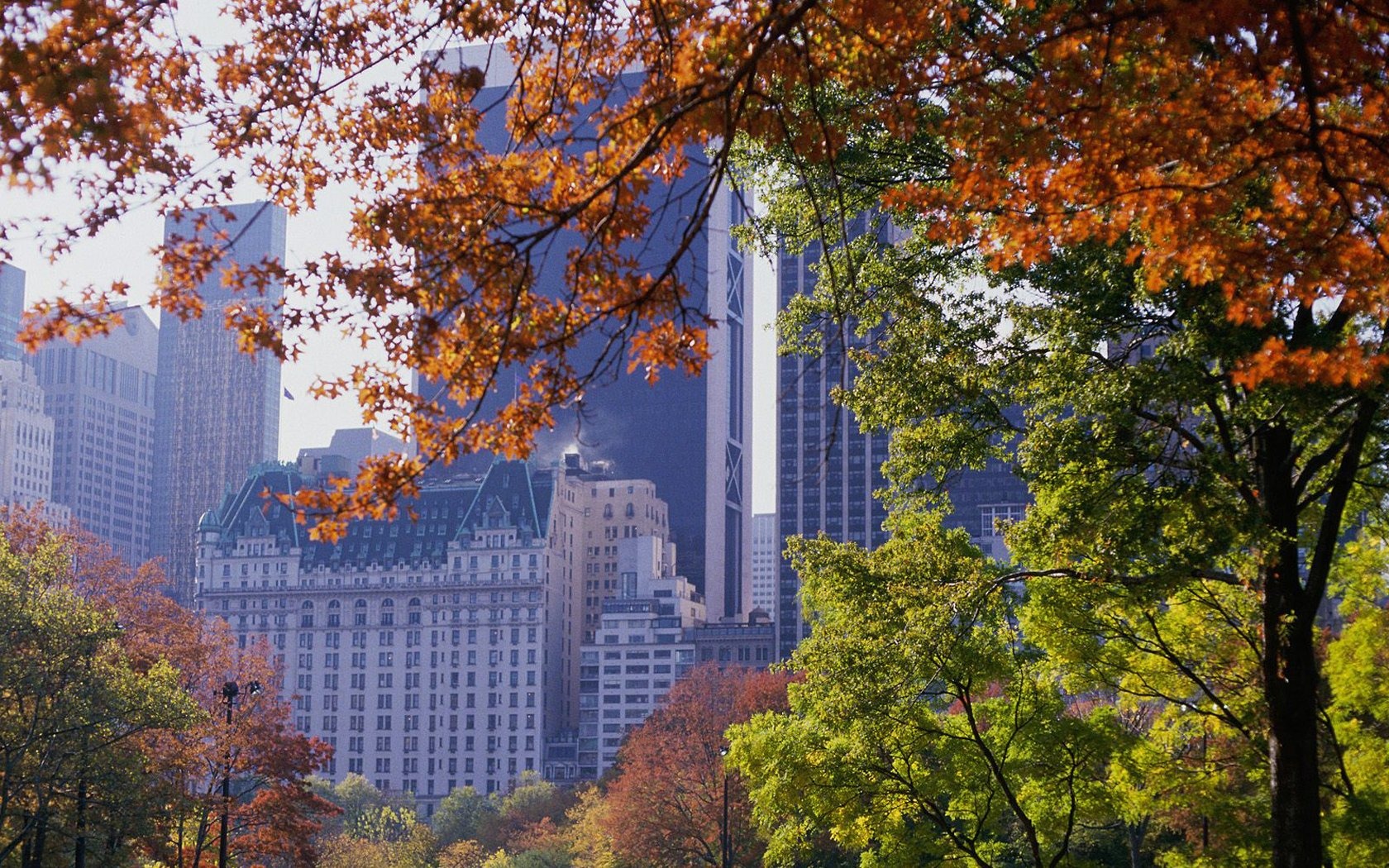Central Park Autumn wallpaper