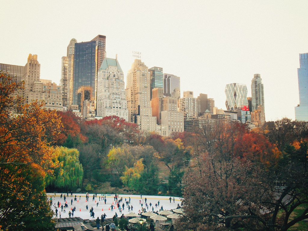 New York City Park Ice Skating Rink
