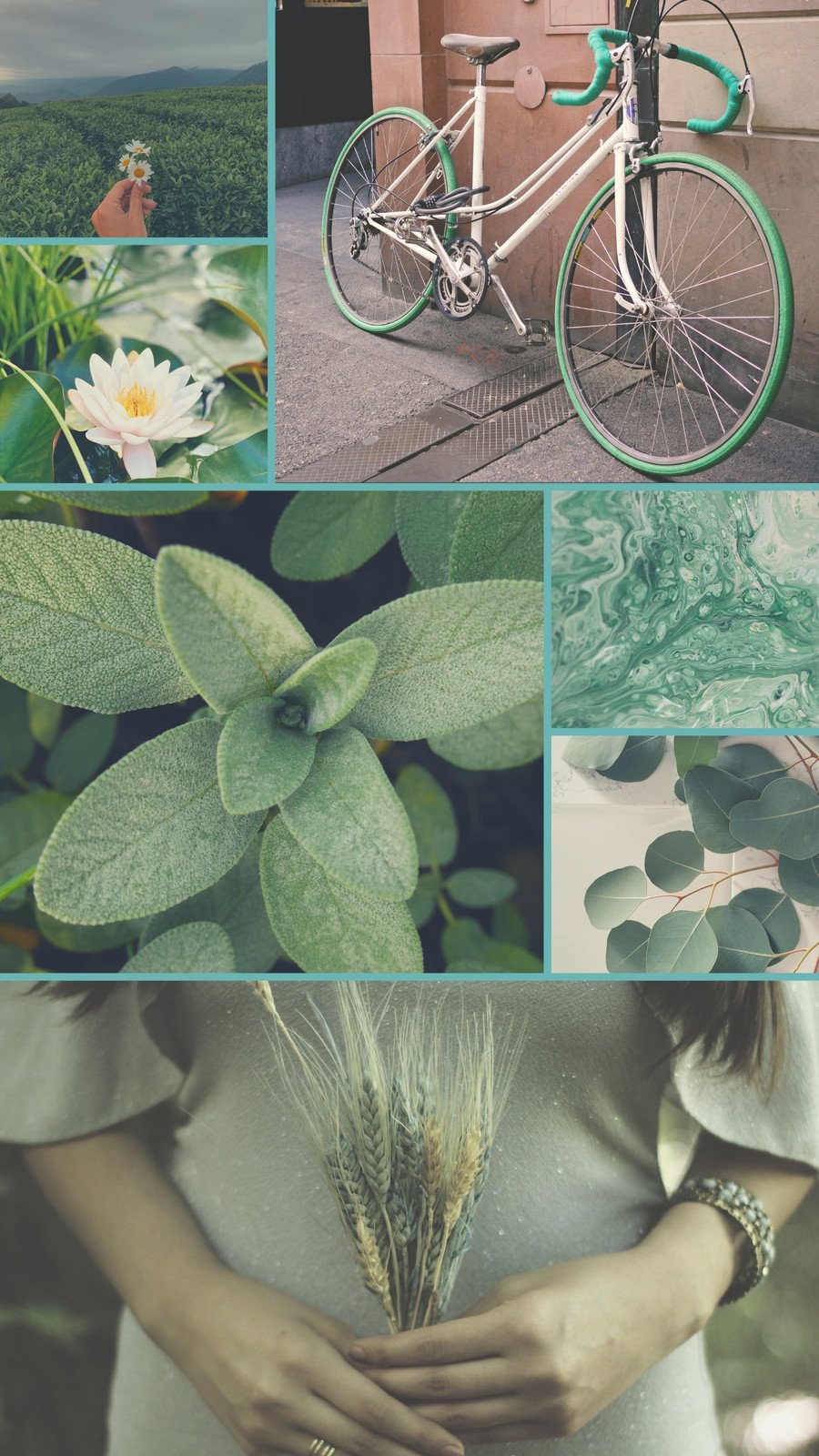 sage green wallpaper