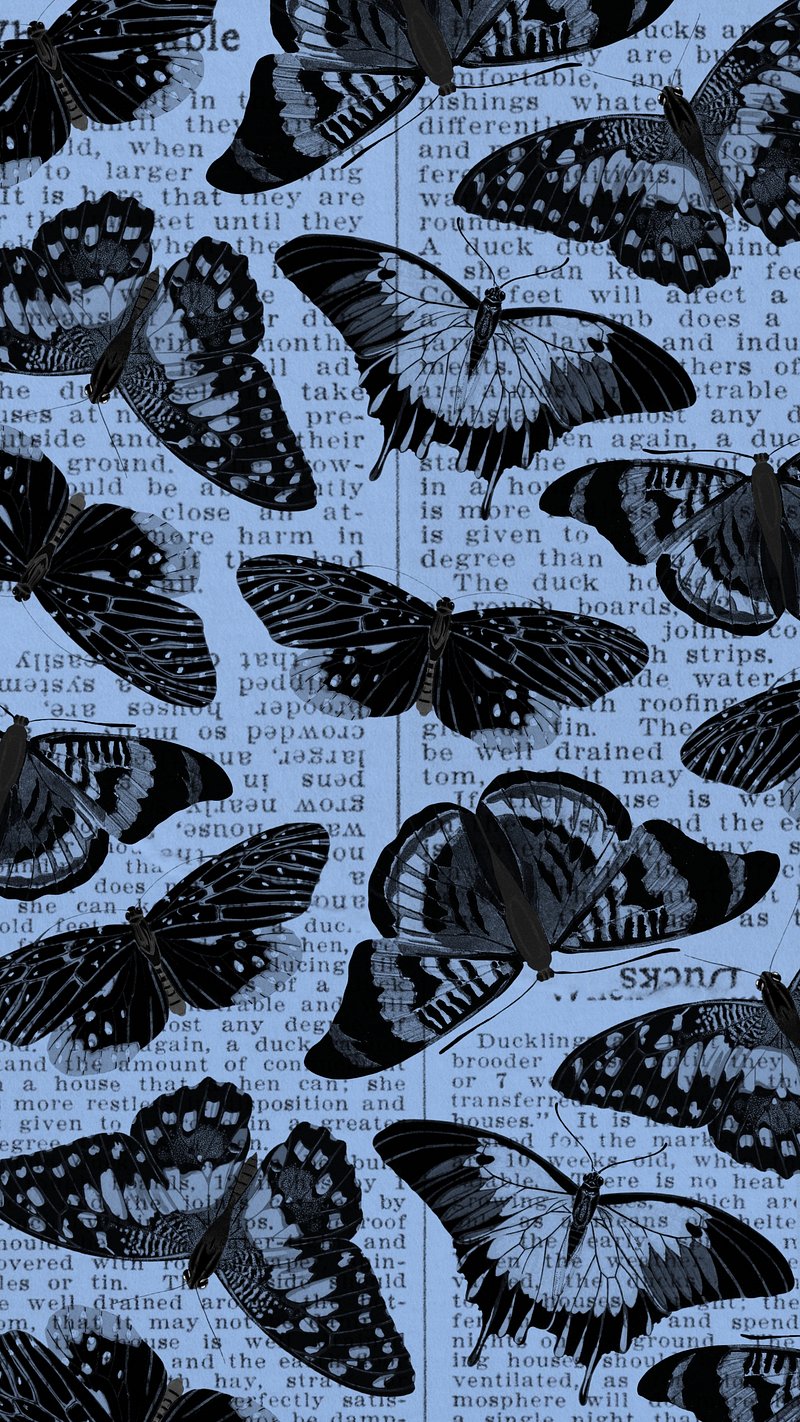 Blue Butterfly Wallpaper Image. Free