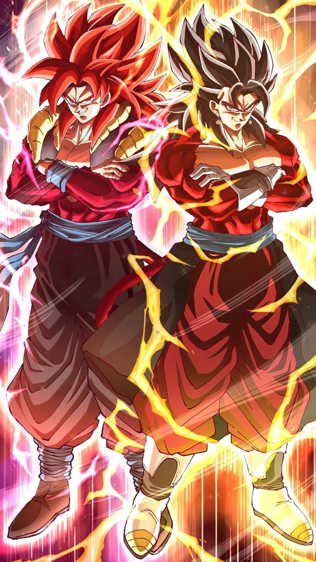 SSJ4 Vegito and SSJ4 Gogeta for 7 year