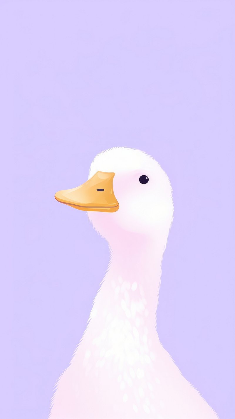 Duck iPhone Wallpaper Image Wallpaper