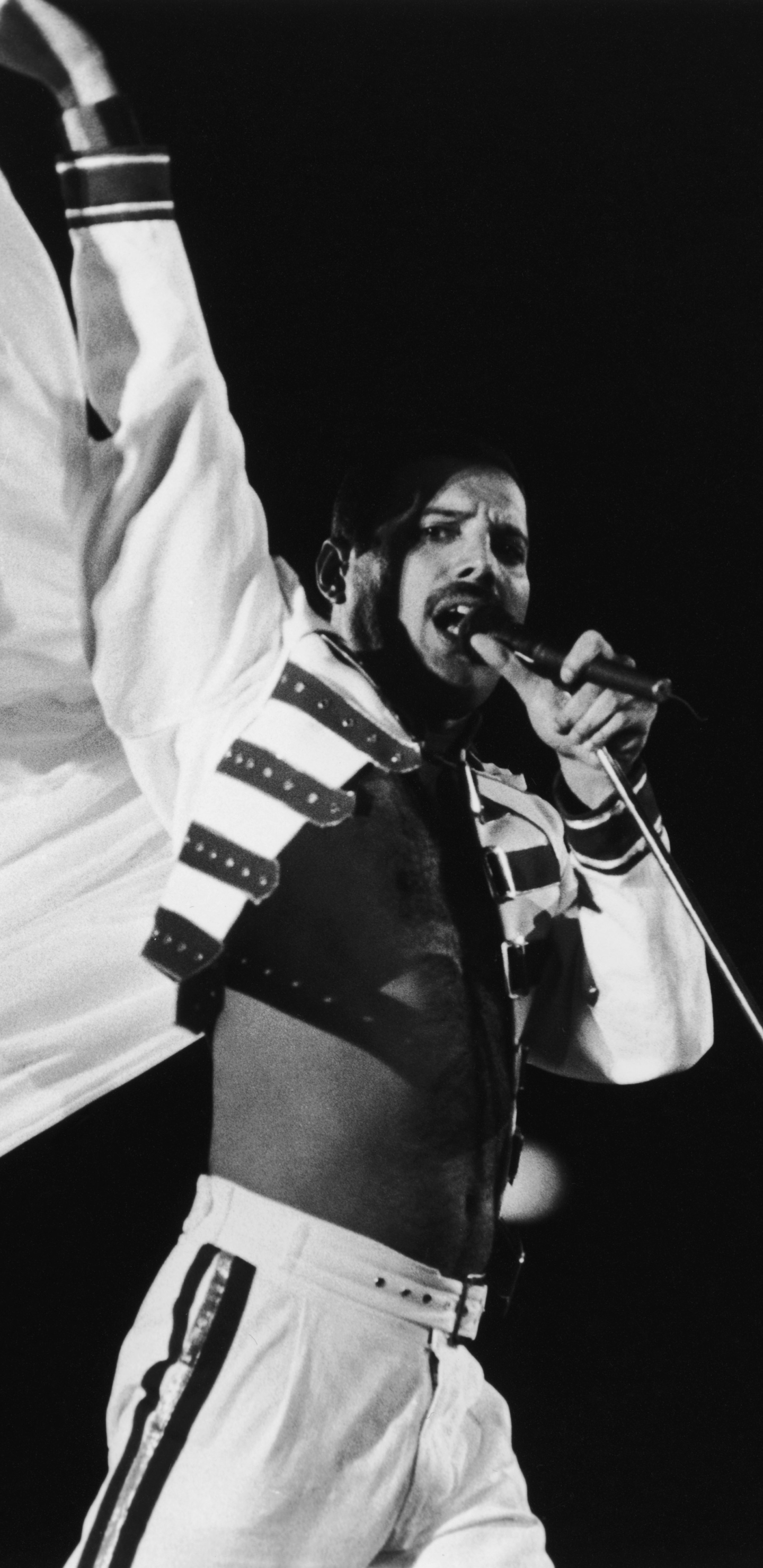 Music Freddie Mercury Phone Wallpaper