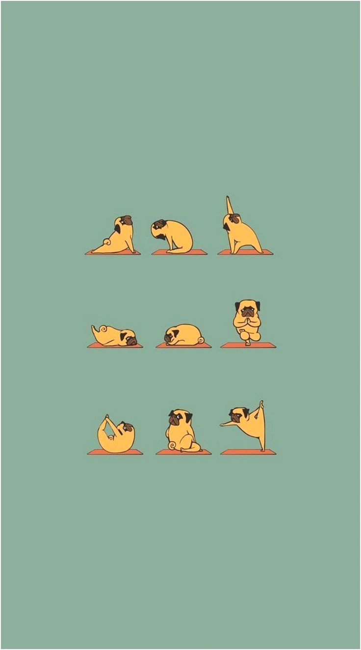 Aesthetic Funny Wallpaper