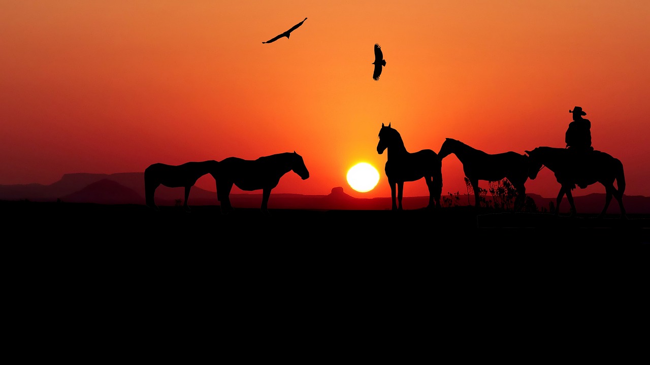 Sunset Horses Rider