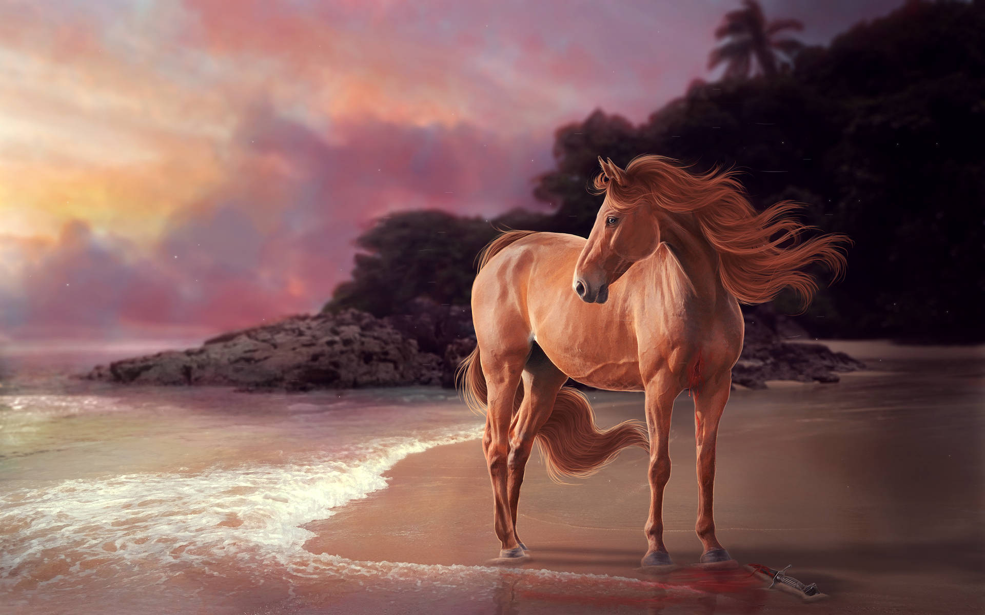 Download Animal Horse Beach Sunset HD