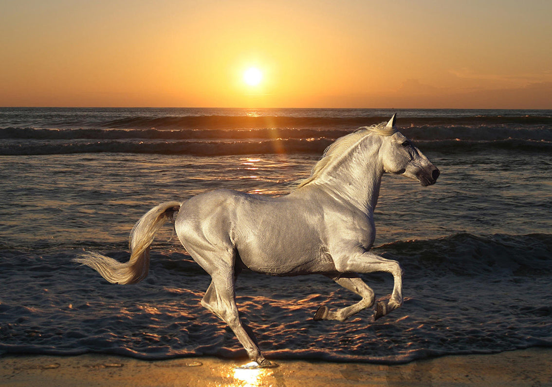 Horse Galloping Sunset Woven Self