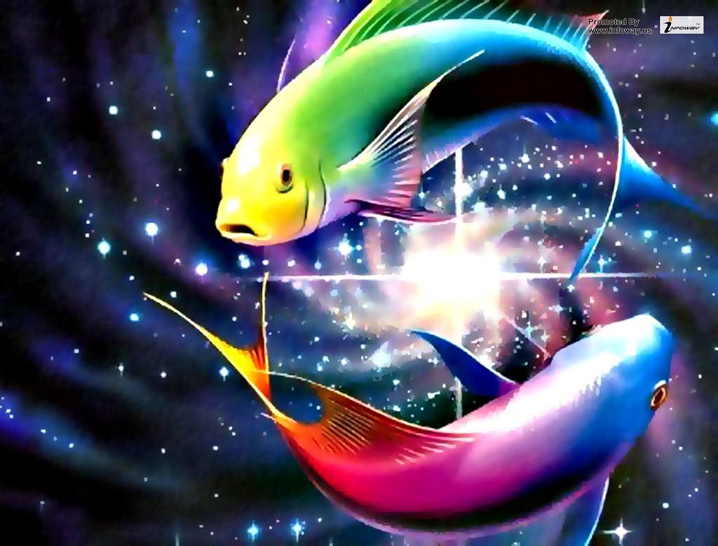 Rainbow Fish Wallpaper. Rainbow Fish