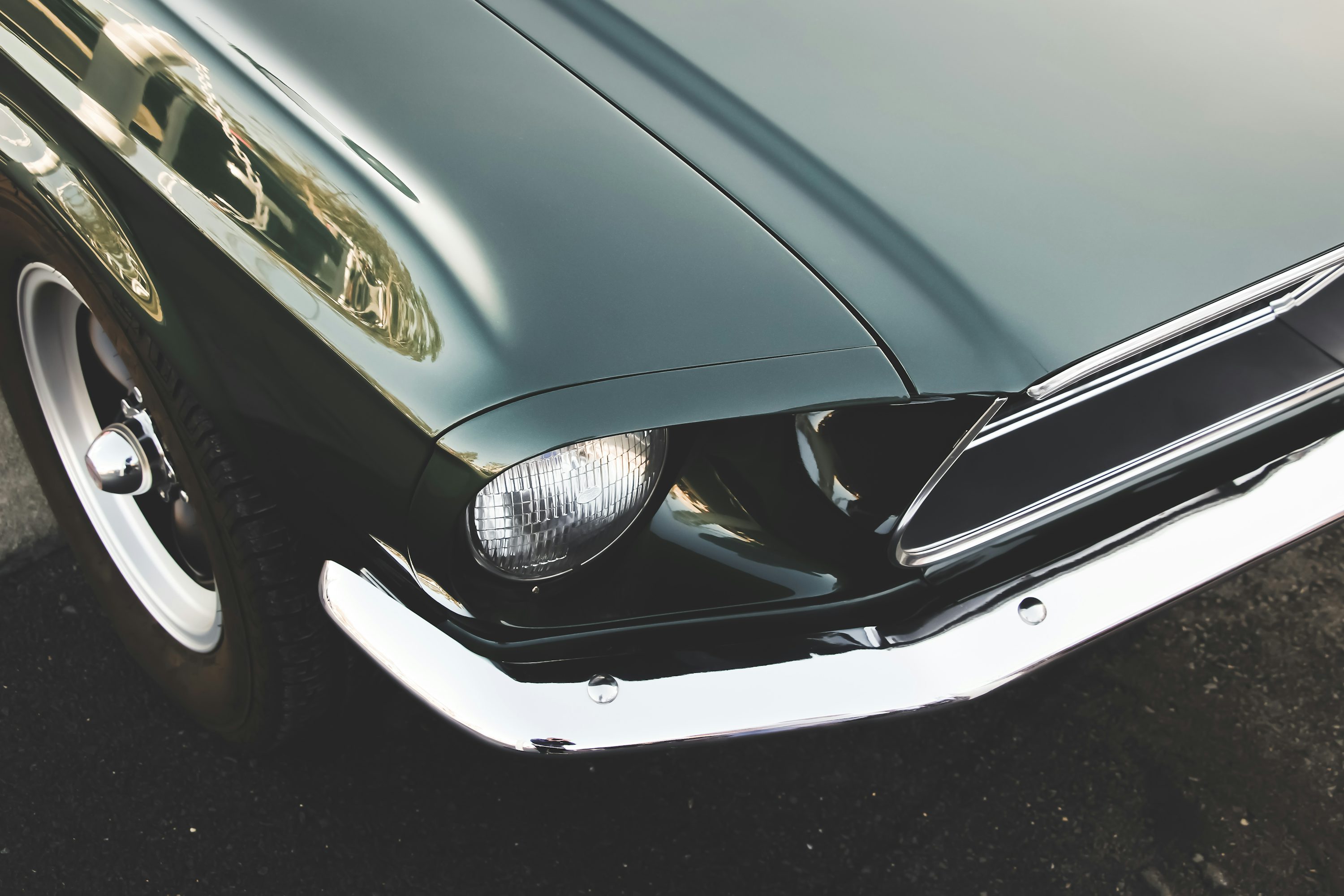 Mustang Wallpaper: Free HD Download