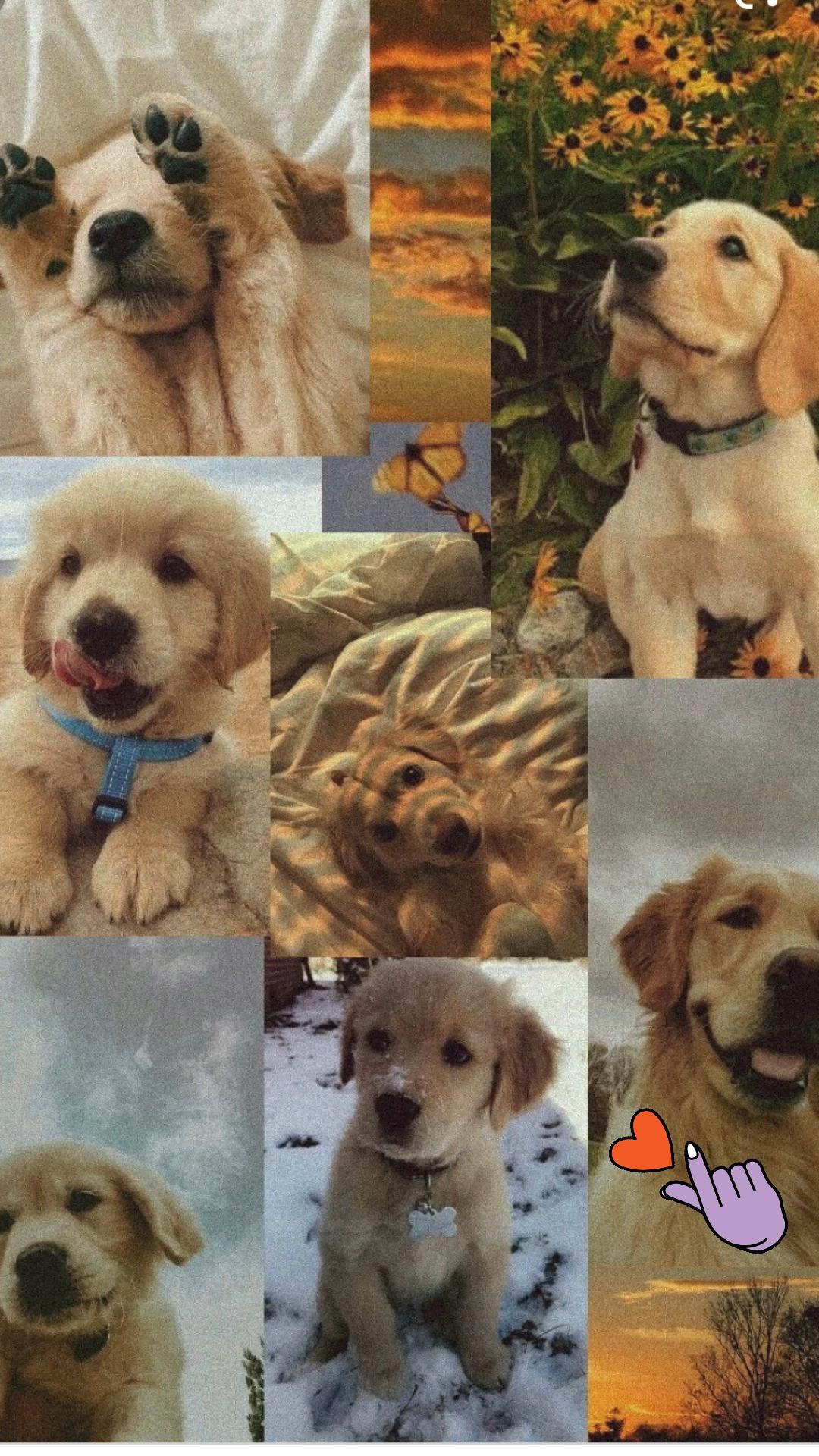 I LOVE U ❤️❤️❤️❤️❤️