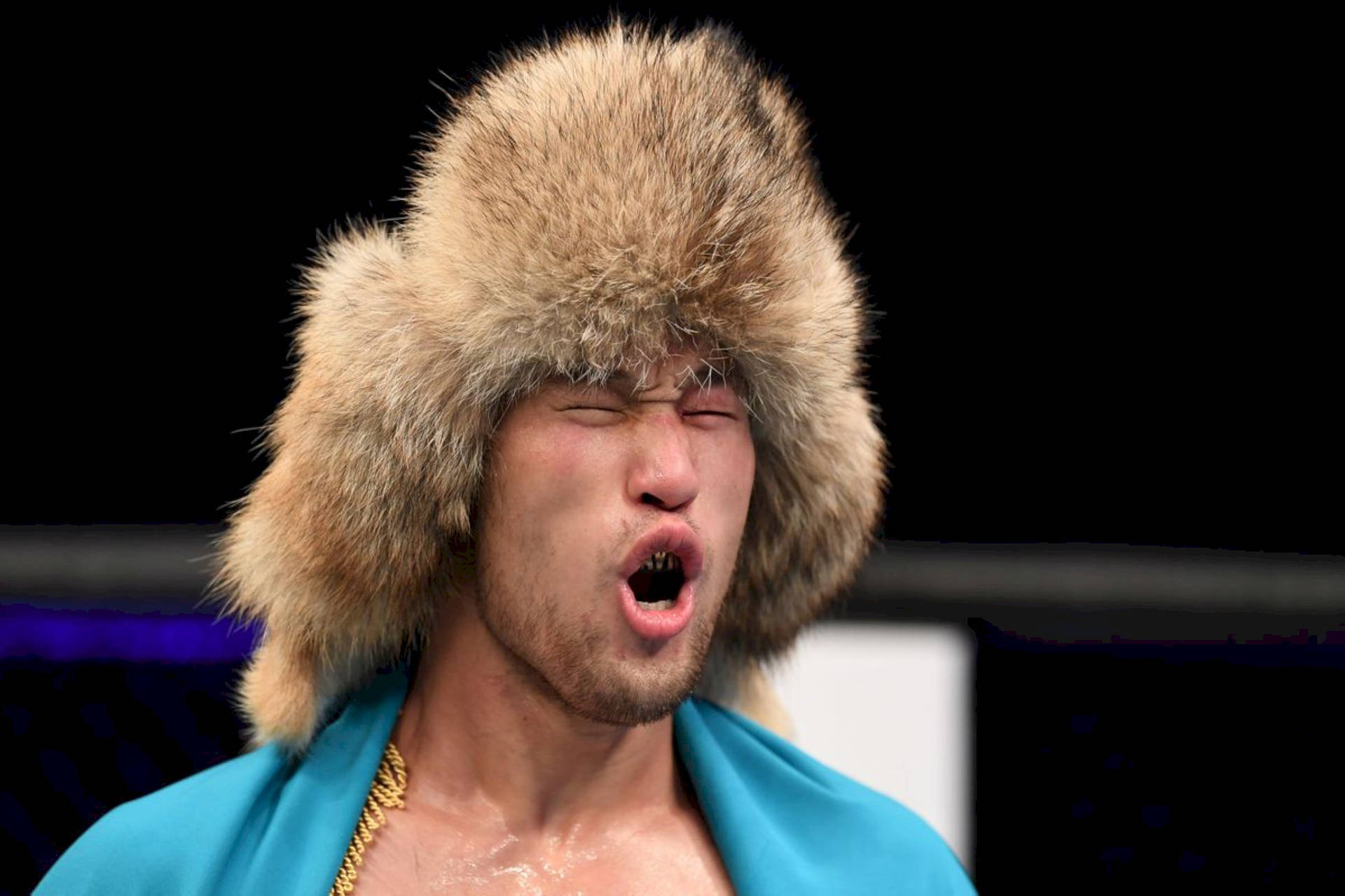 Download Shavkat Rakhmonov, the MMA