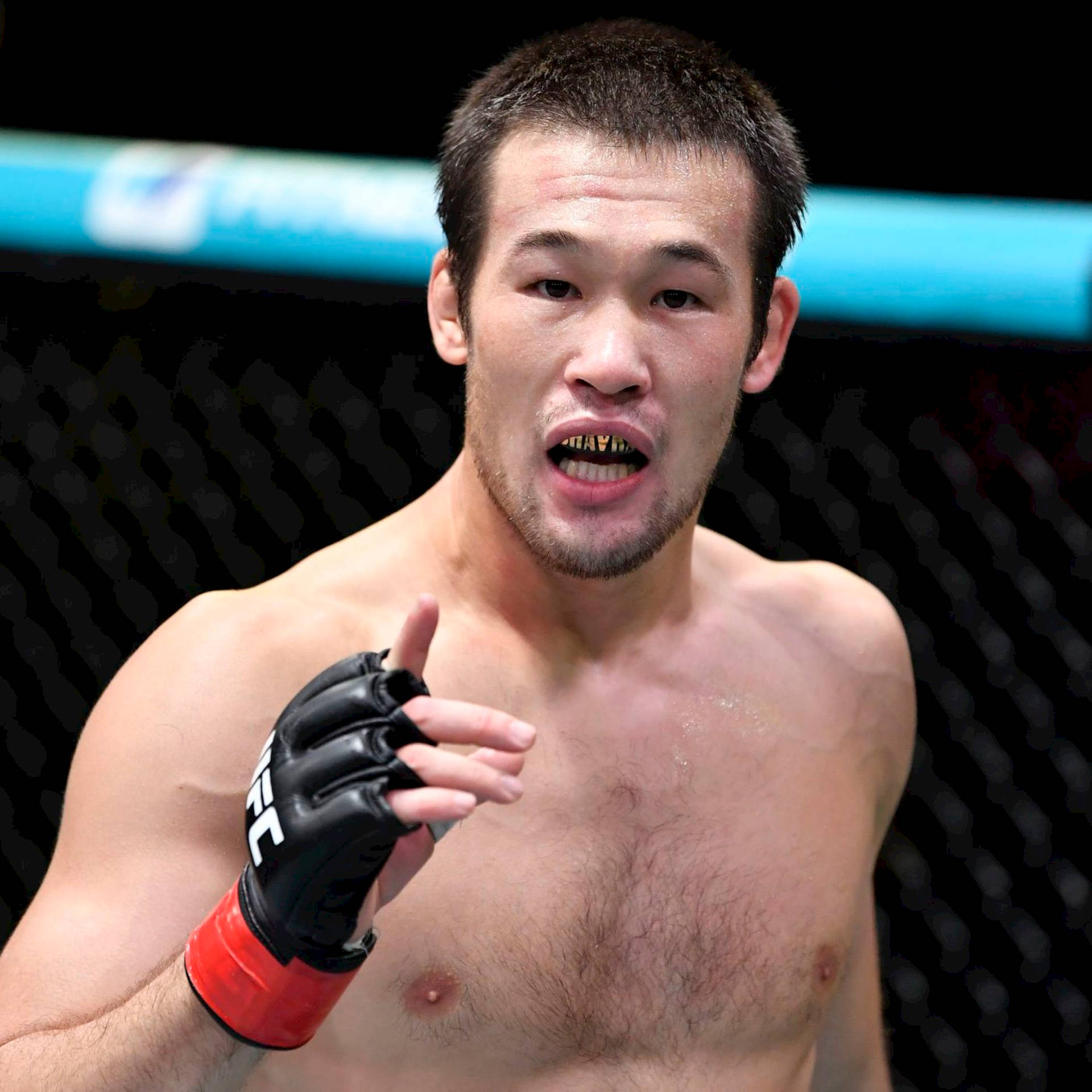 Download MMA Fighter Shavkat Rakhmonov