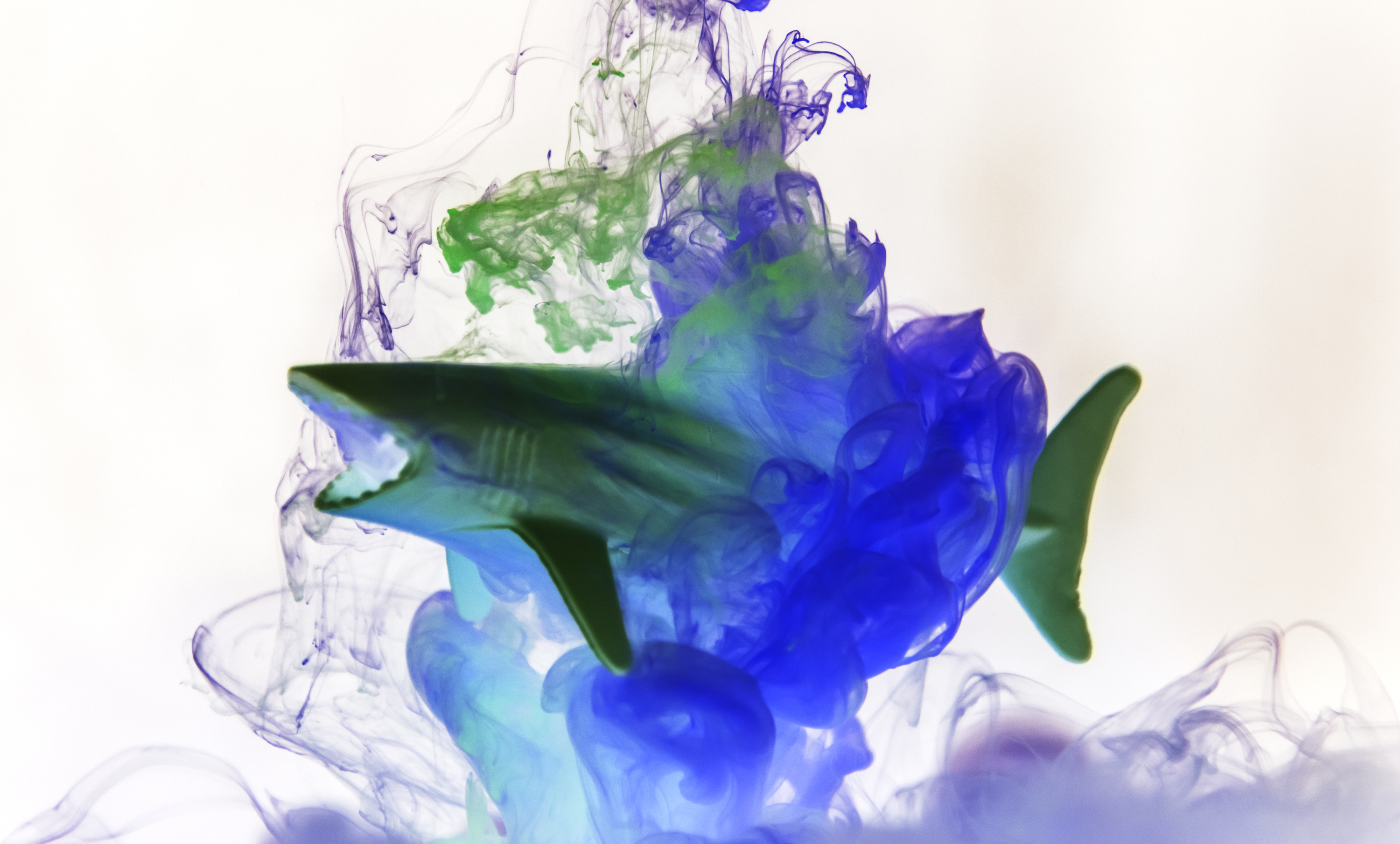 Free Image, decoration, deep, design